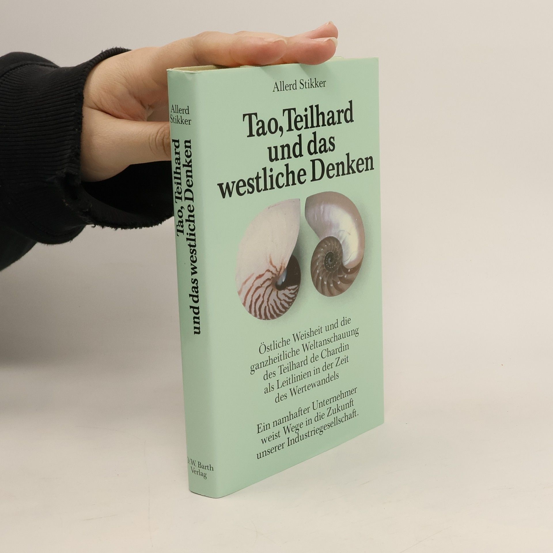 Allerd Stikker Tao, Teilhard und das westliche Denken