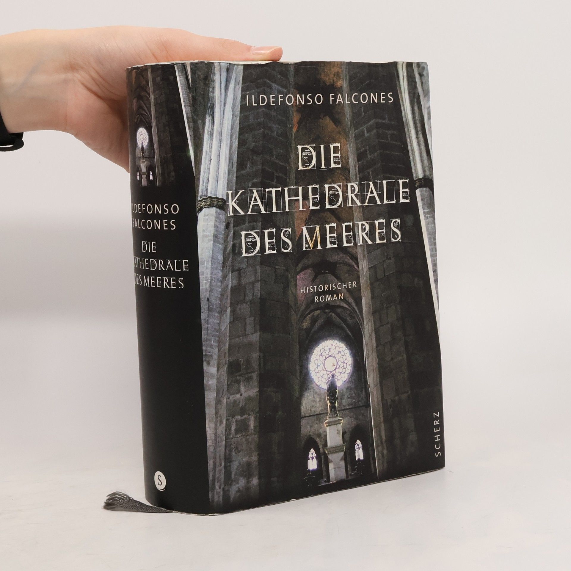 Ildefonso Falcones Die Kathedrale des Meeres