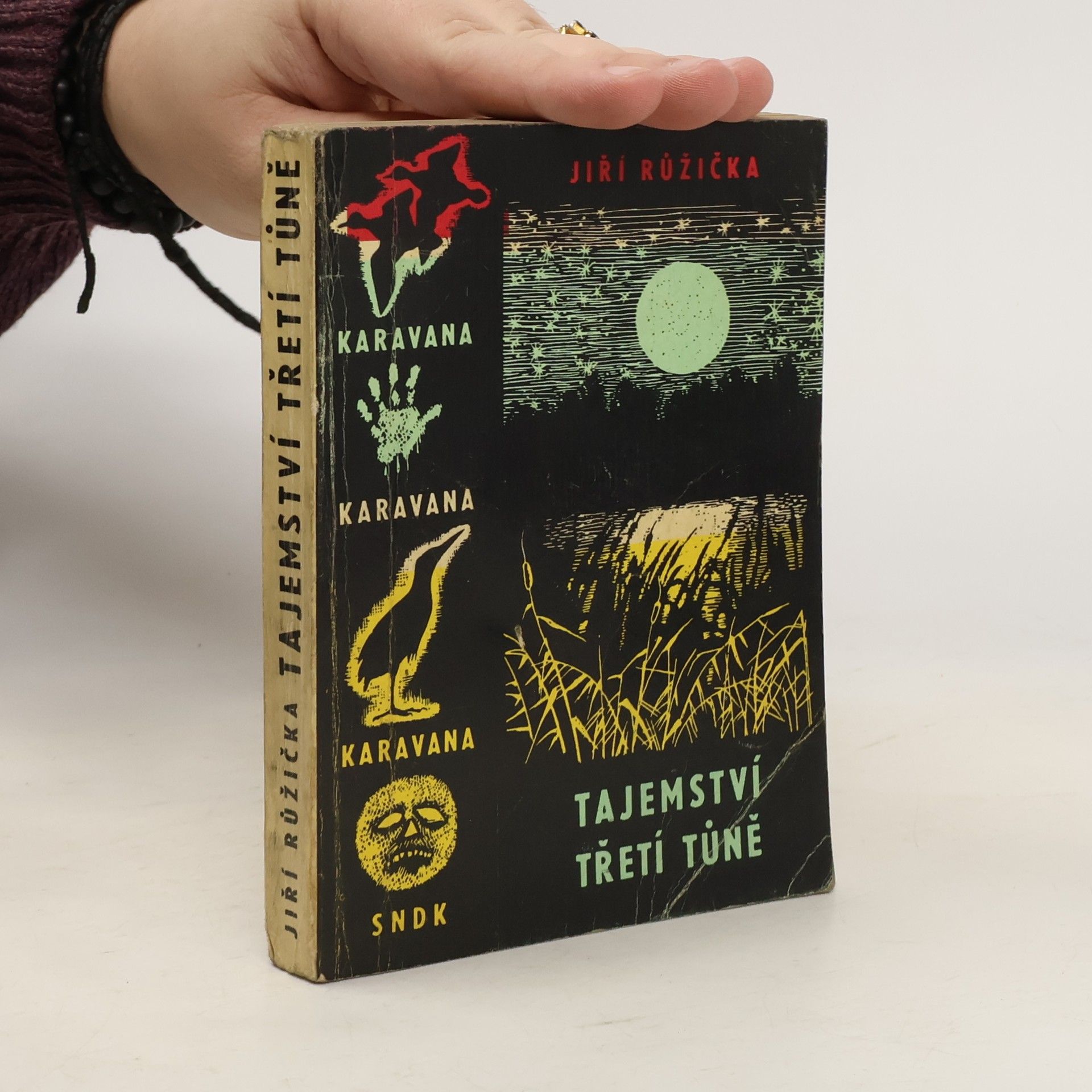 Jiří Růžička Tajemství třetí tůně