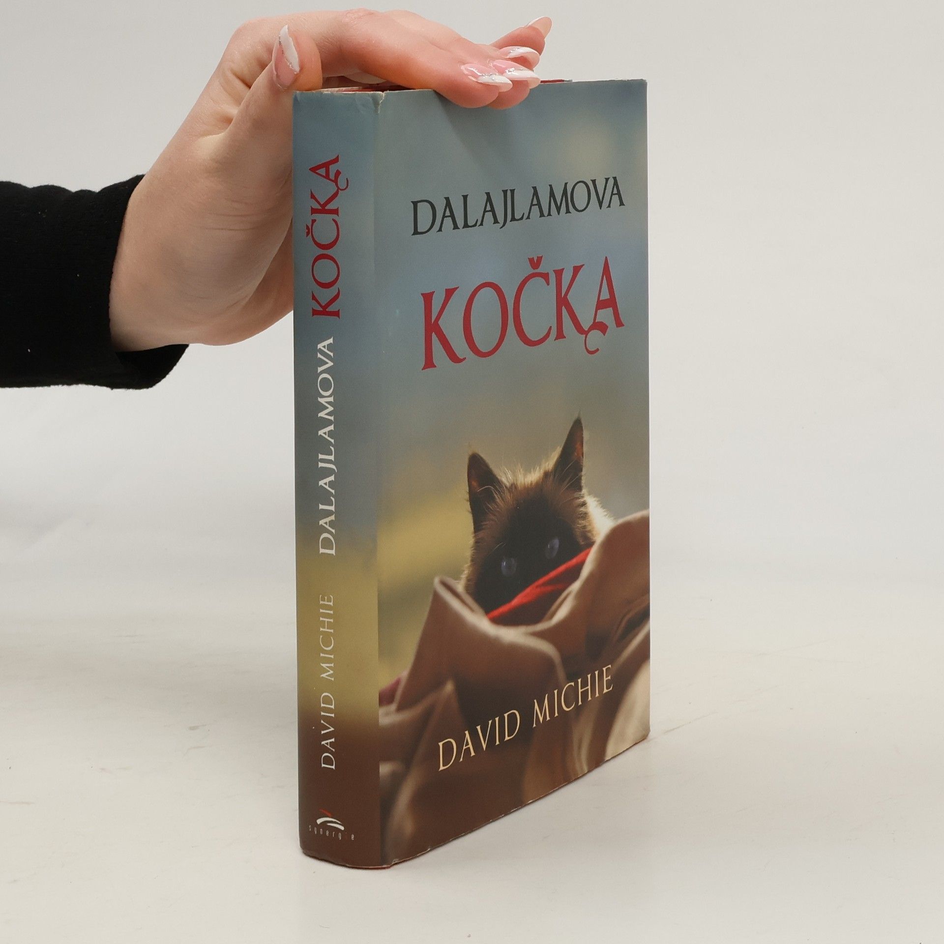 David Michie Dalajlamova kočka