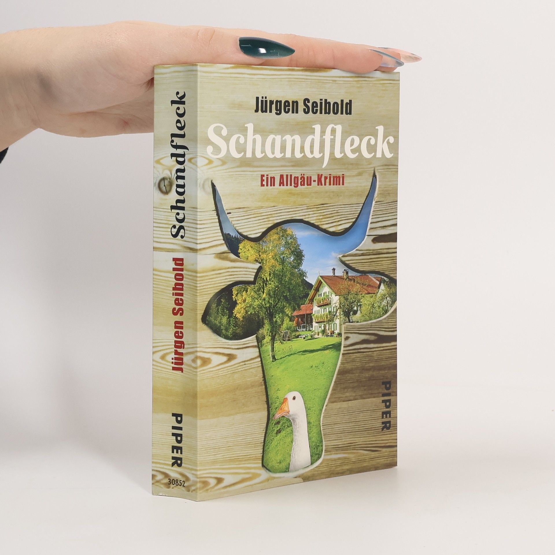 Jürgen Seibold Schandfleck