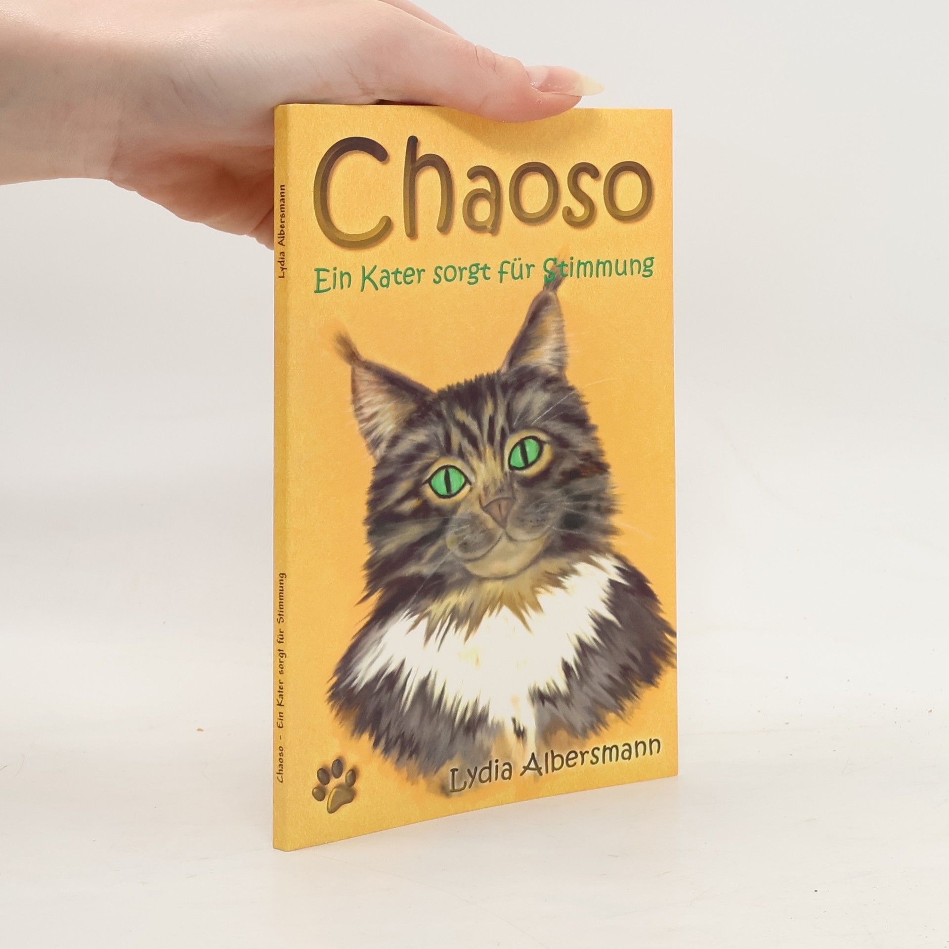 Lydia Albersmann Chaoso