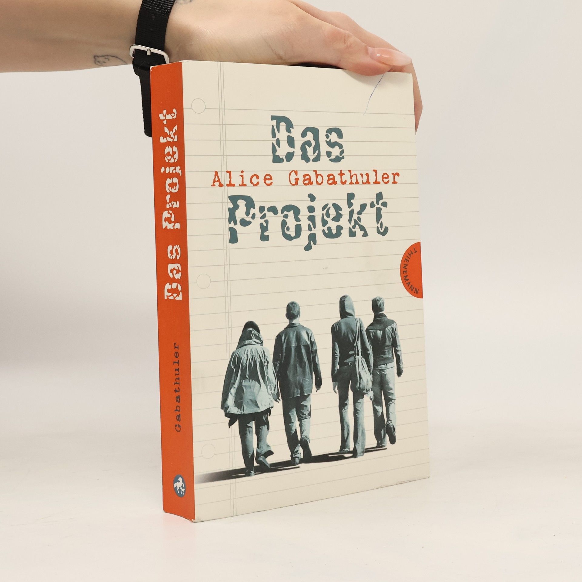 Alice Gabathuler Das Projekt