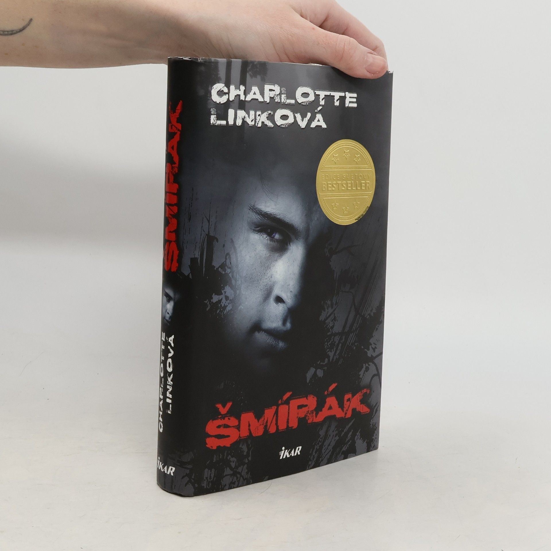 Charlotte Link Šmírák