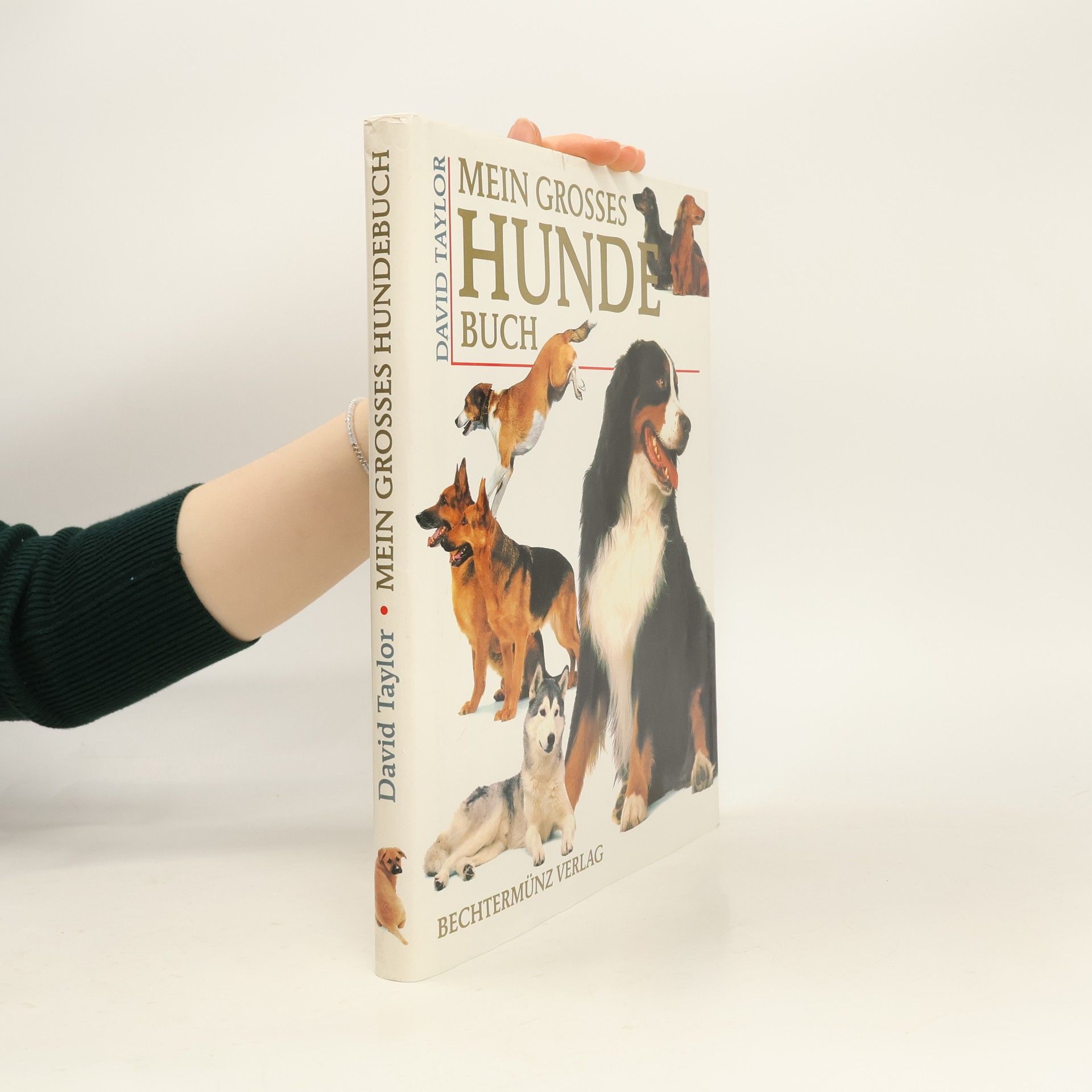 David Conrad Taylor Mein grosses Hunde-Buch