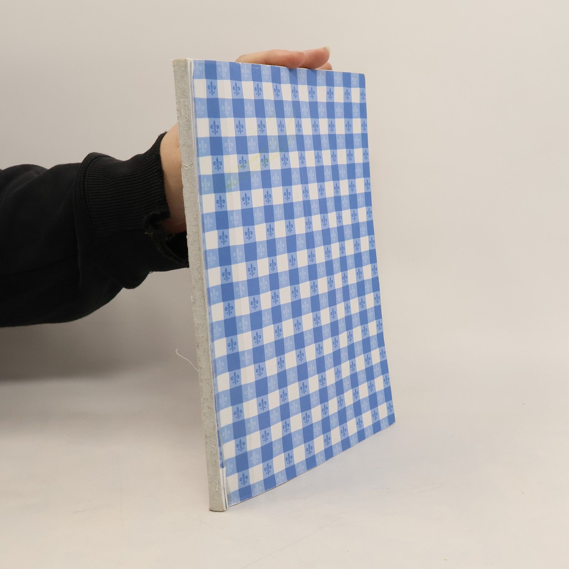 Walt Disney Ratatouille, Buch zum Film