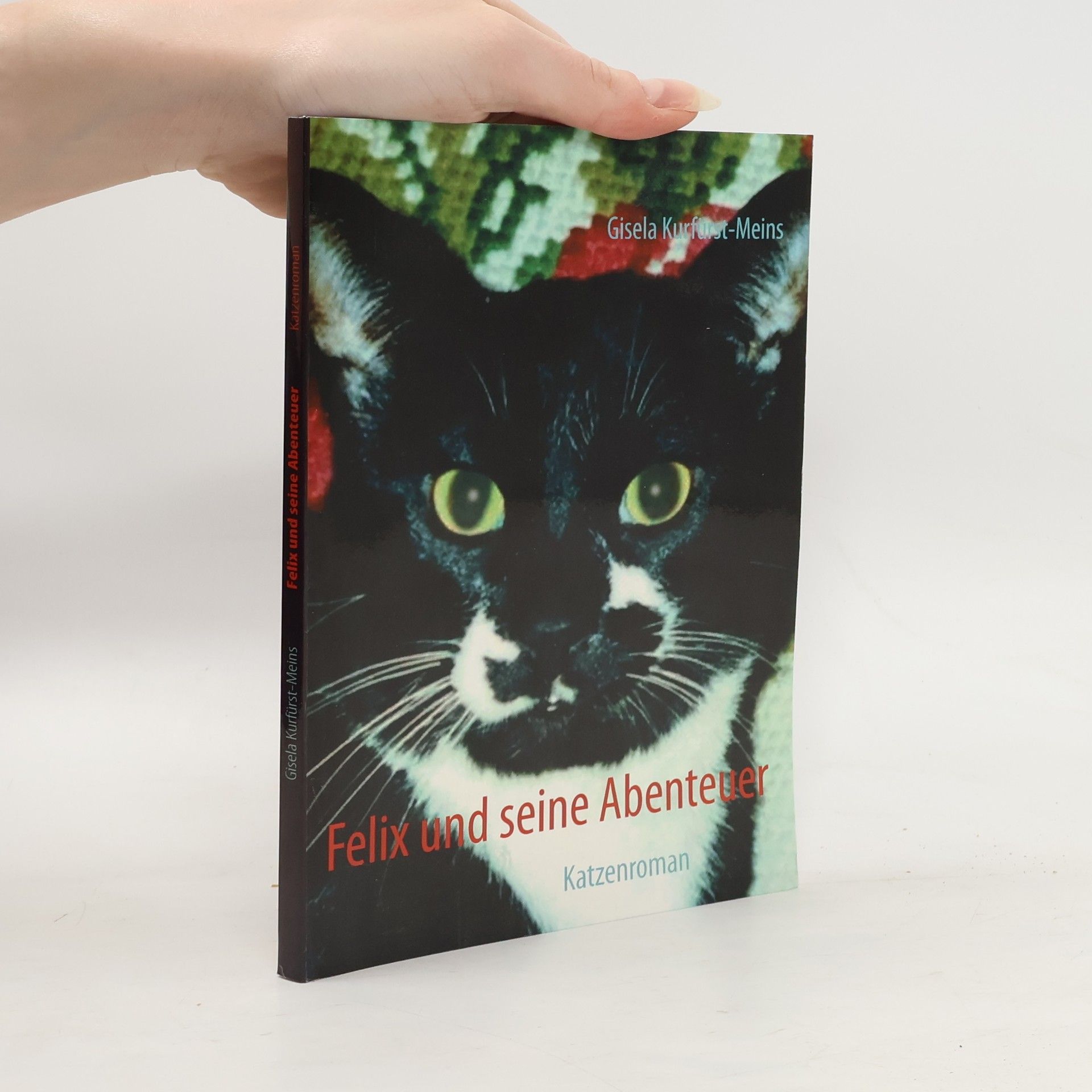 Gisela Kurfürst-Meins Felix und seine Abenteuer