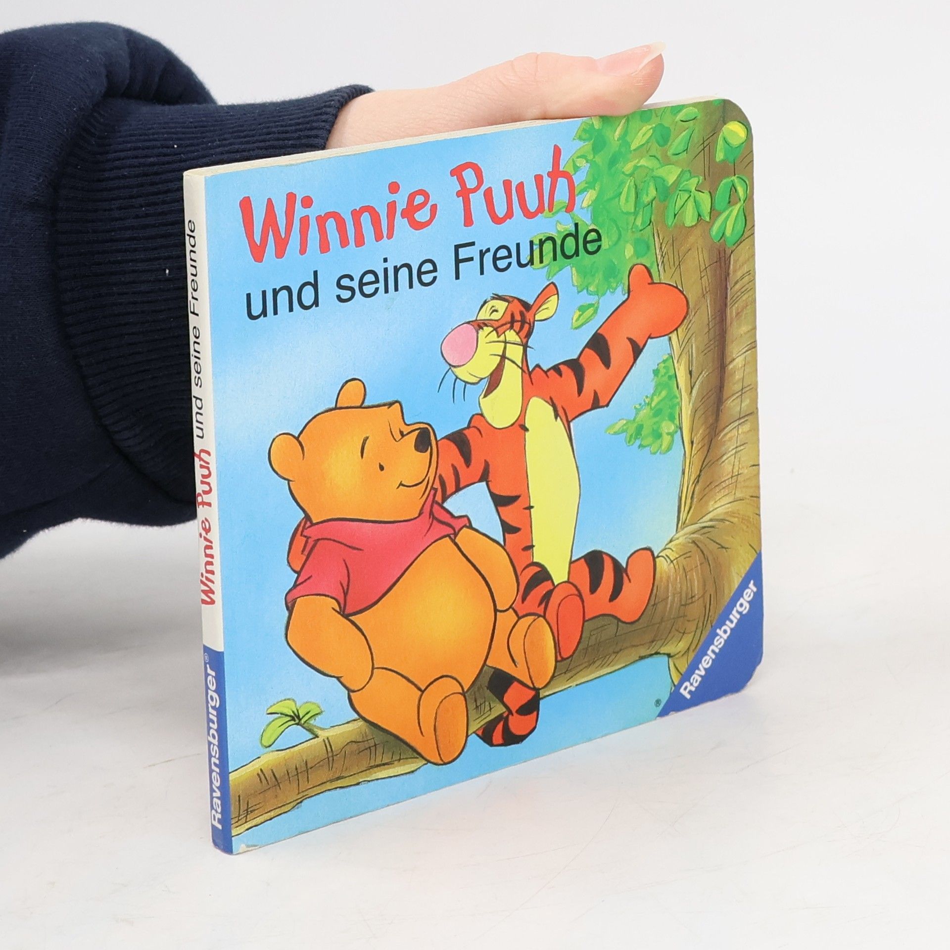 A. A. Milne Winnie Puuh und seine Freunde