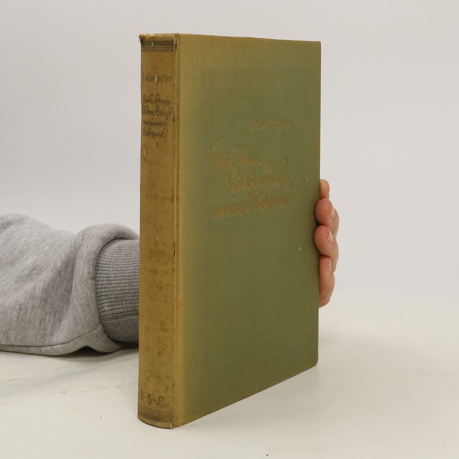 Hans Kloepfer Aus dem Bilderbuch meines Lebens