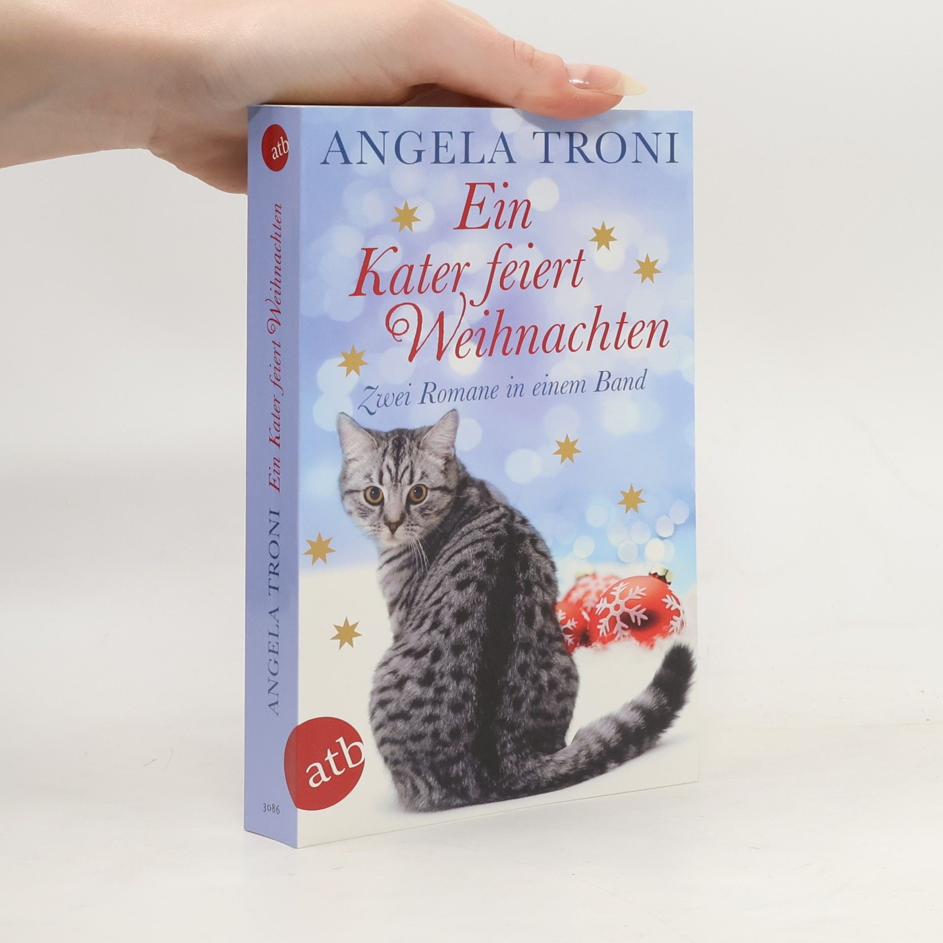 Angela Troni Ein Kater feiert Weihnachten