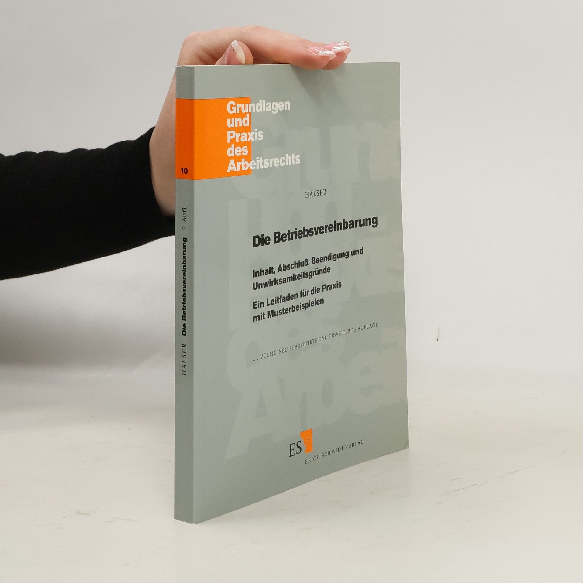 Ulrich Halser Grundlagen und Praxis des Arbeitsrechts - 10: Die Betriebsvereinbarung