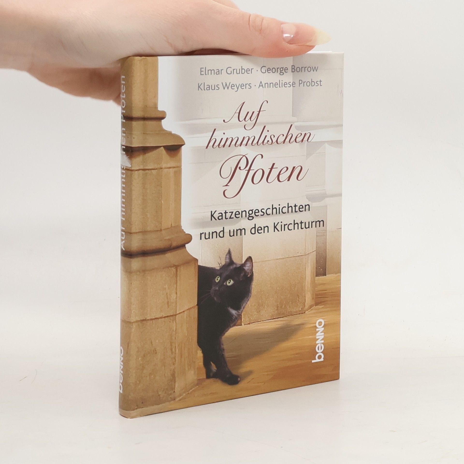 Auf himmlischen Pfoten