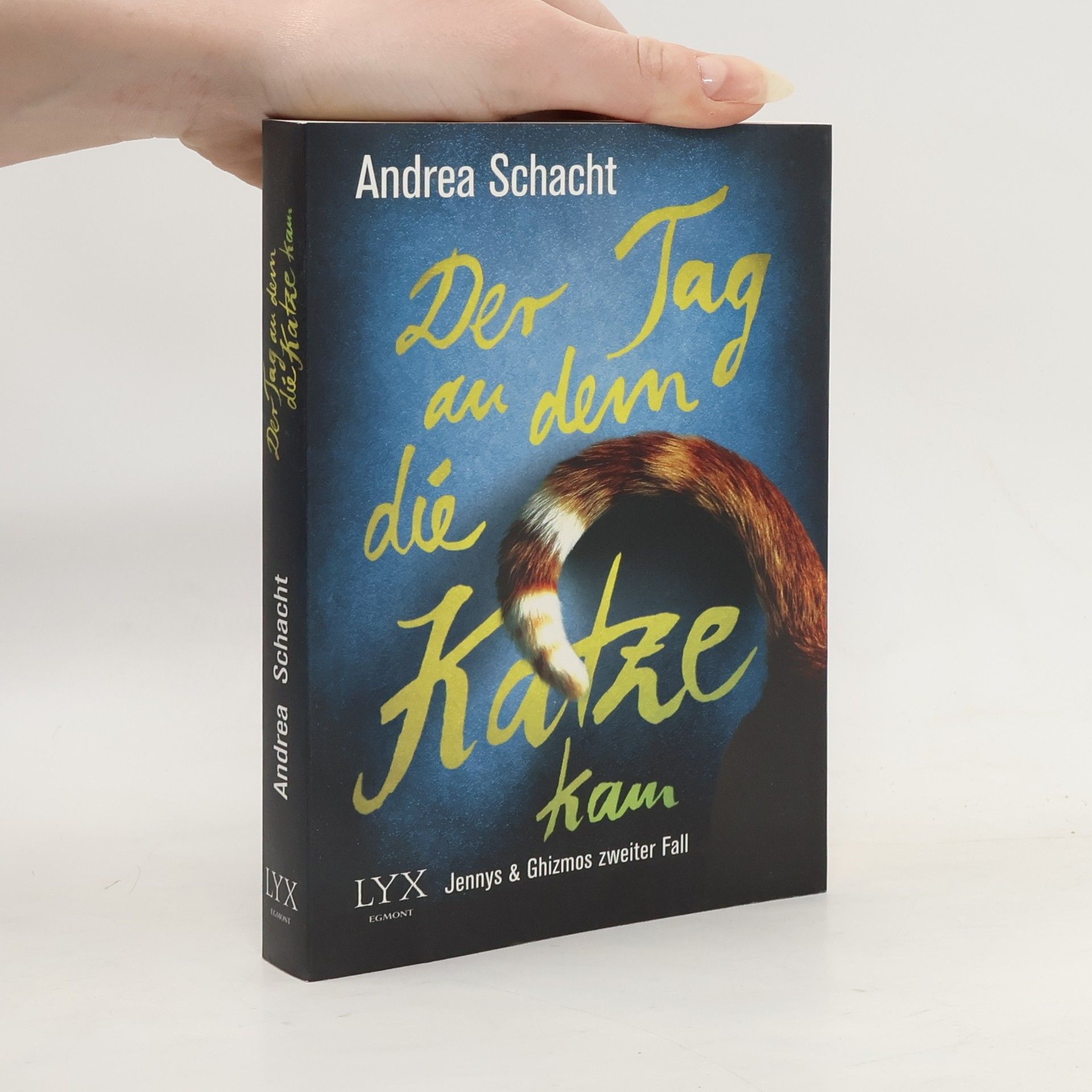 Andrea Schacht Der Tag, an dem die Katze kam