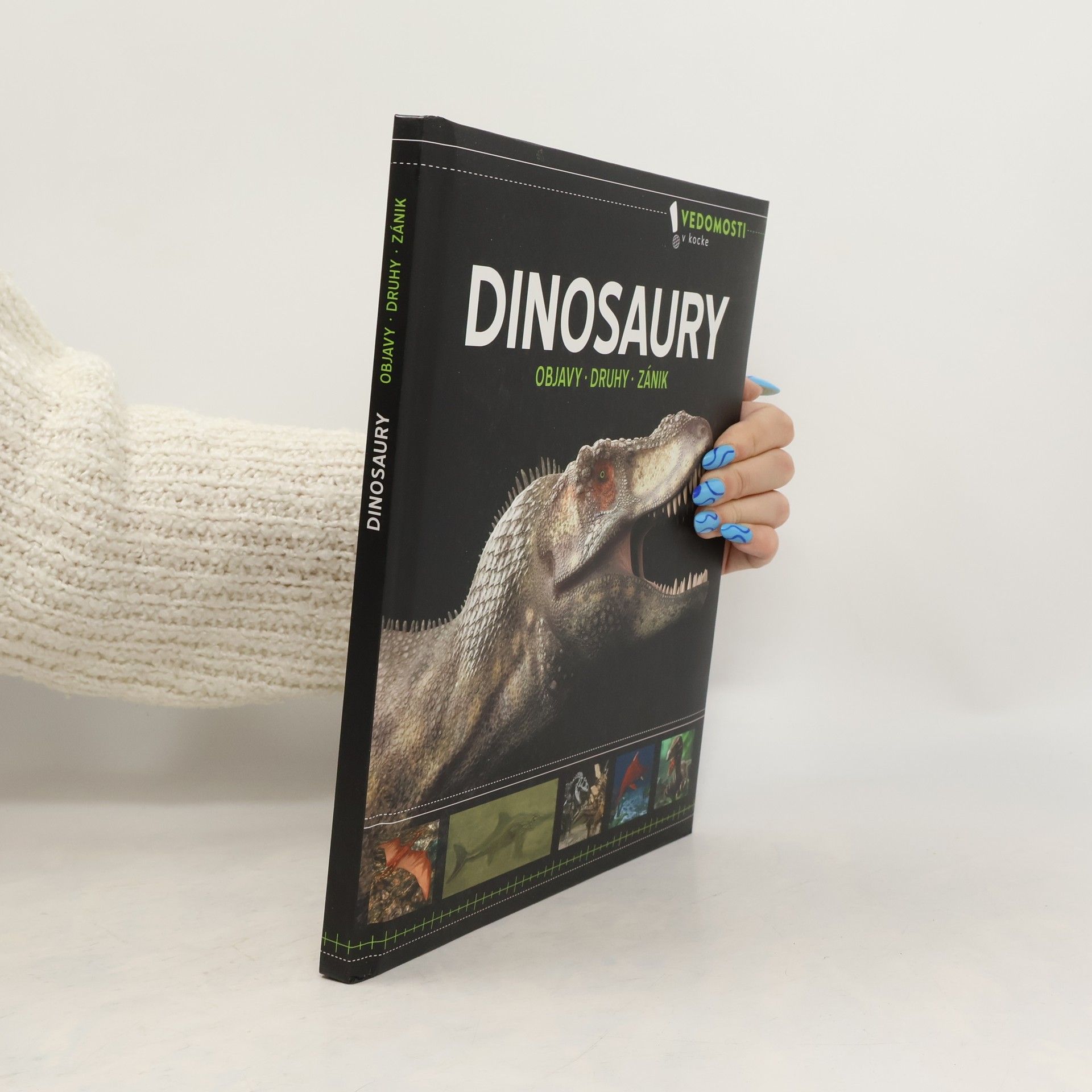 Collectif d'auteurs Dinosaury