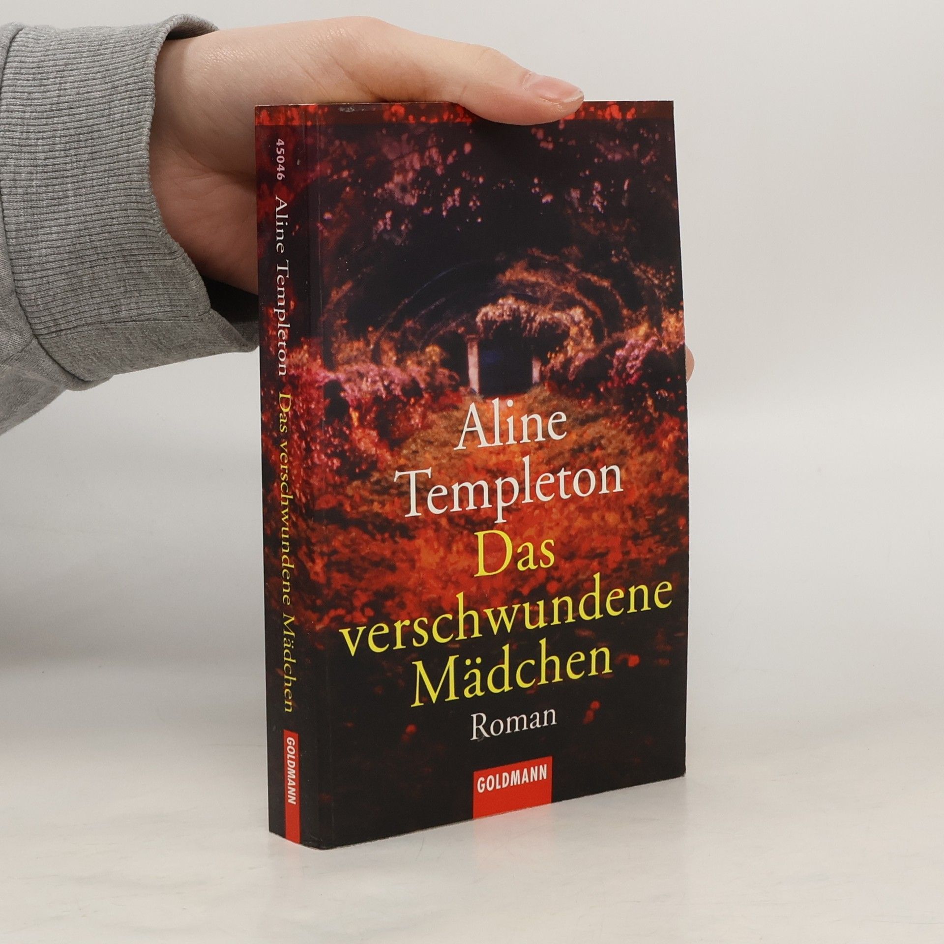 Das verschwundene Mädchen