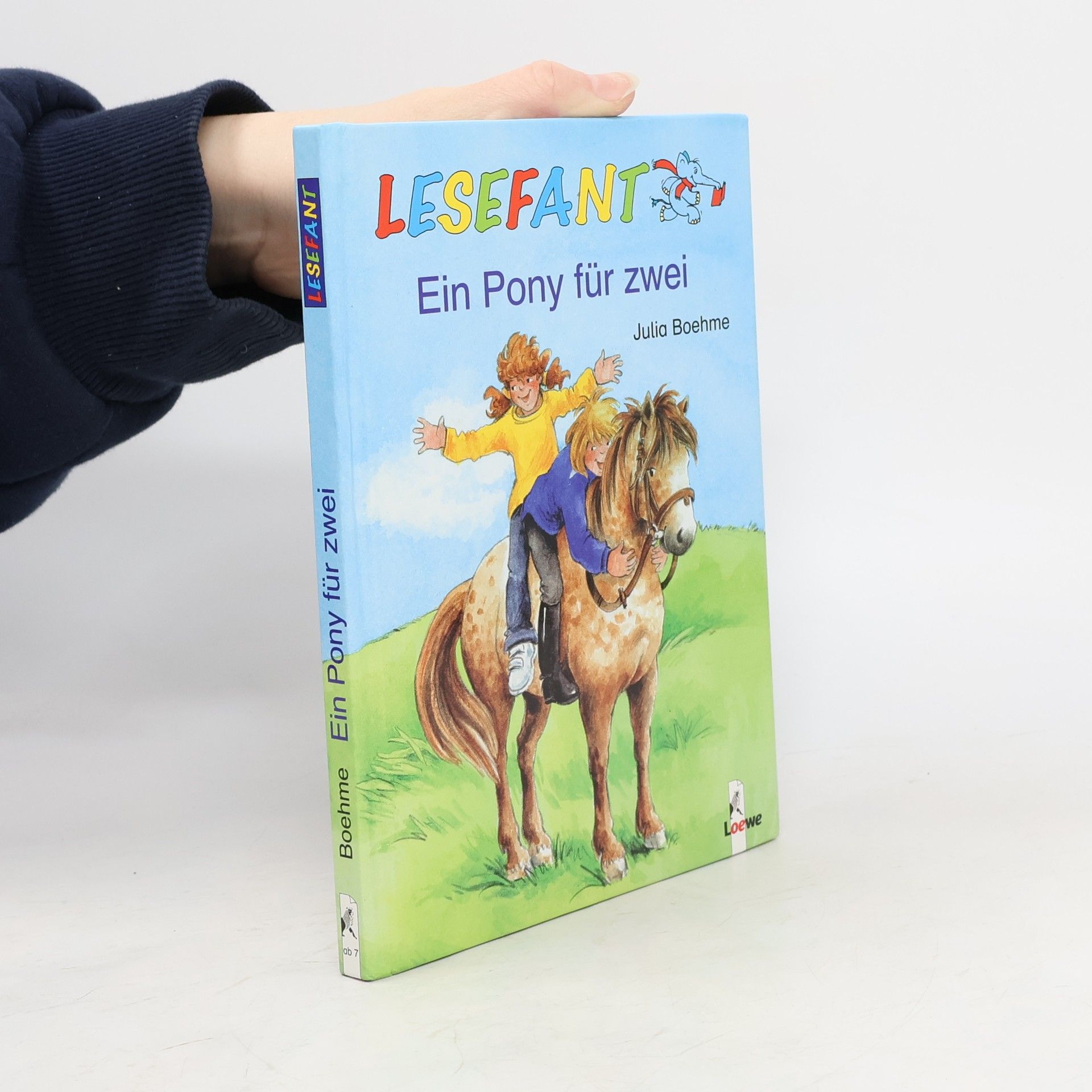 Julia Boehme Ein Pony für zwei