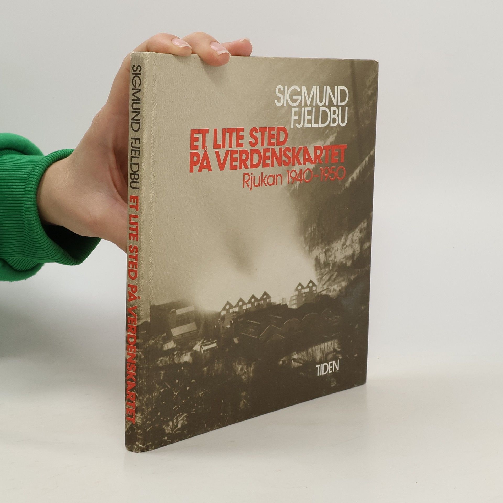 Sigmund Fjeldbu Et lite sted på verdenskartet