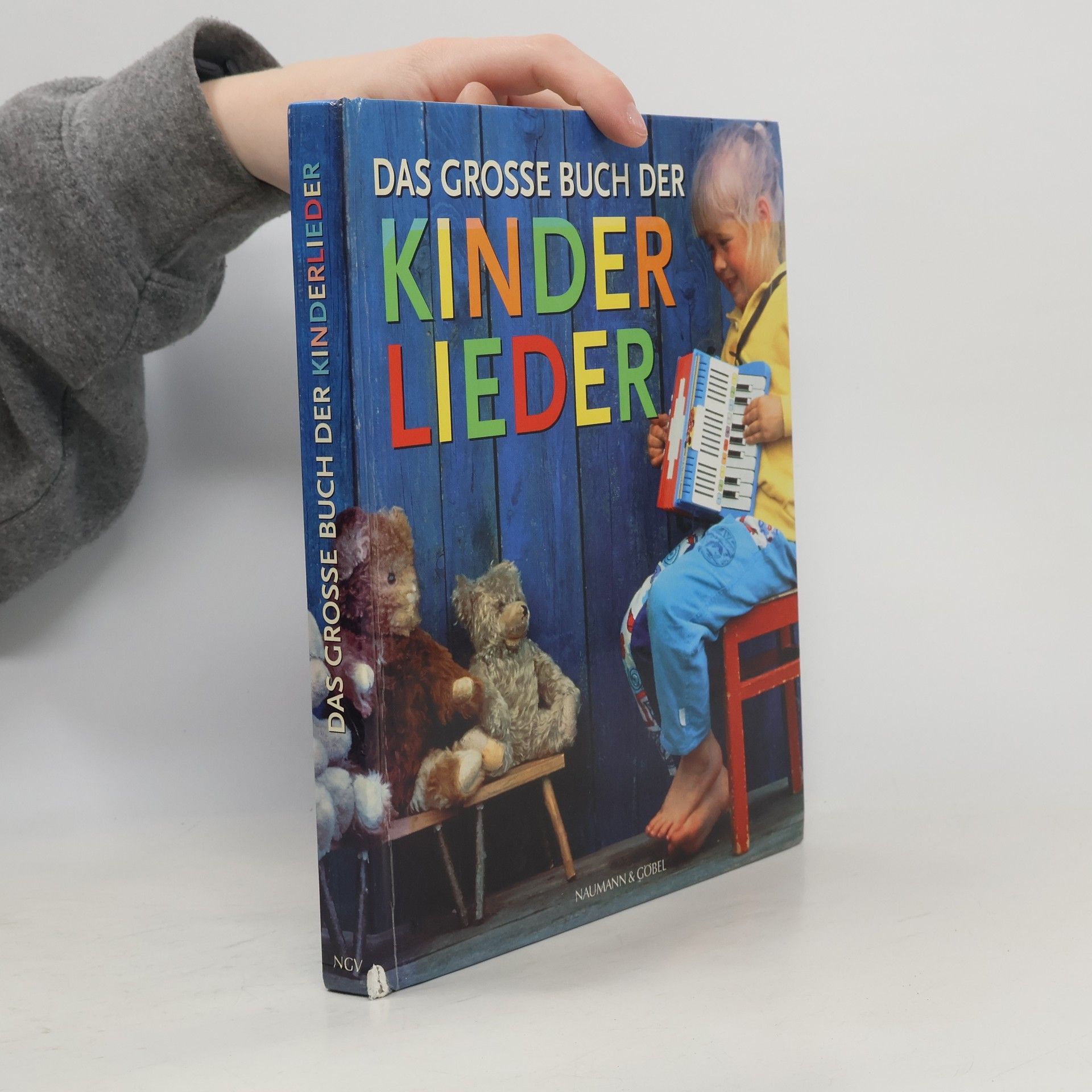 Autorenkollektiv Das grosse Buch der Kinderlieder