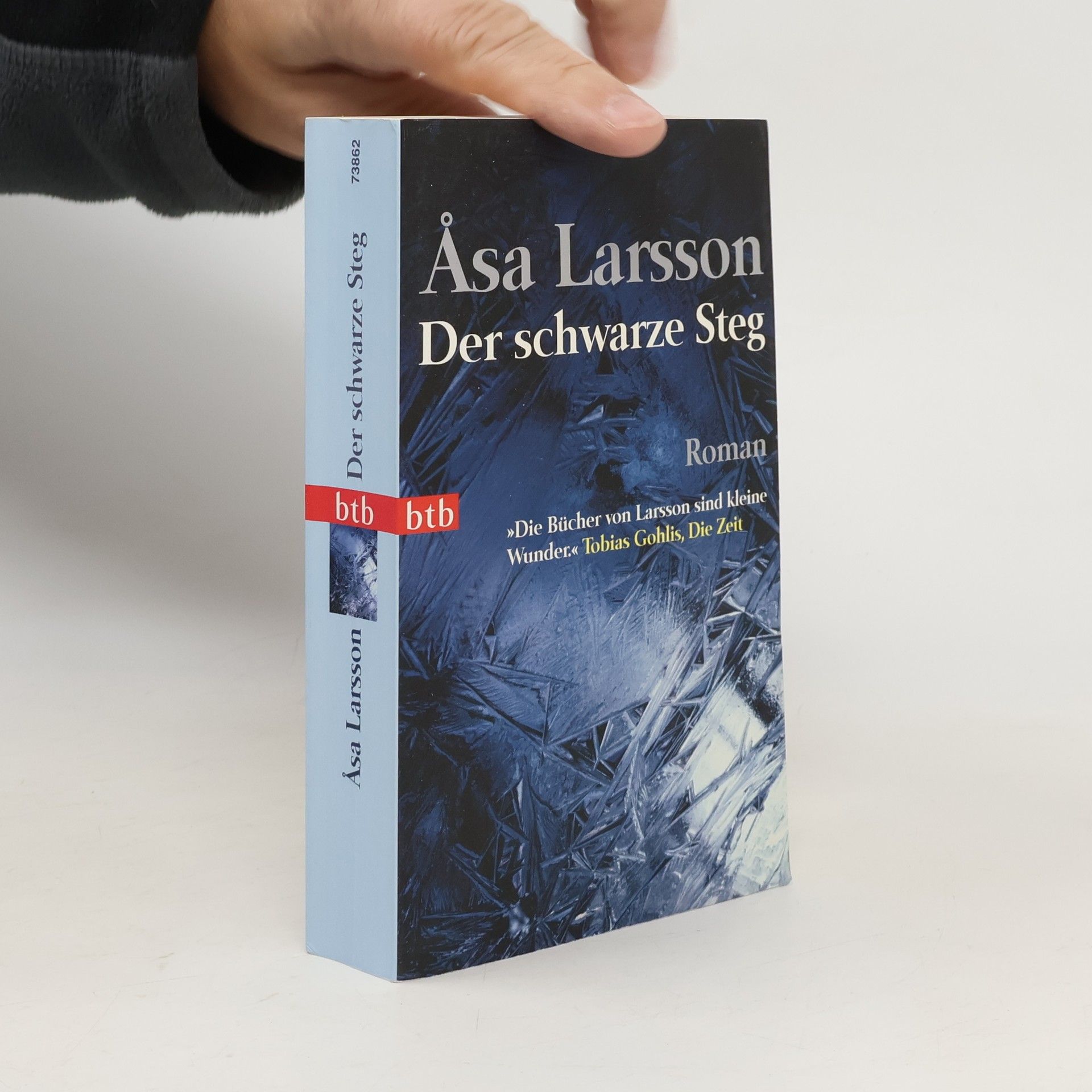 Åsa Larsson Der schwarze Steg