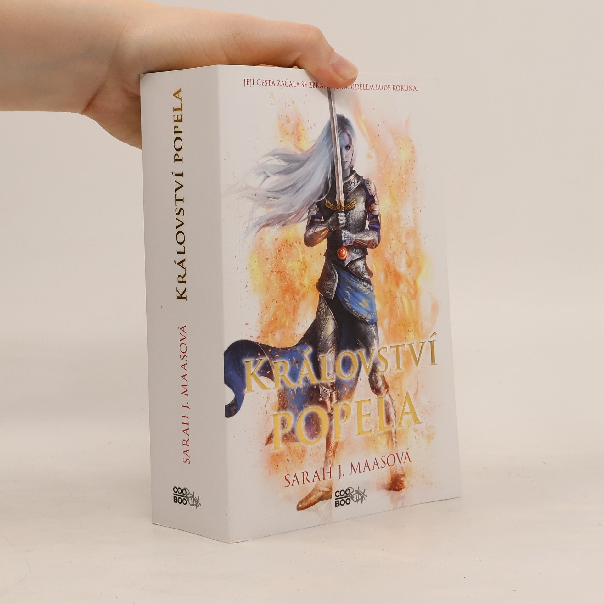 Sarah J. Maas Království popela