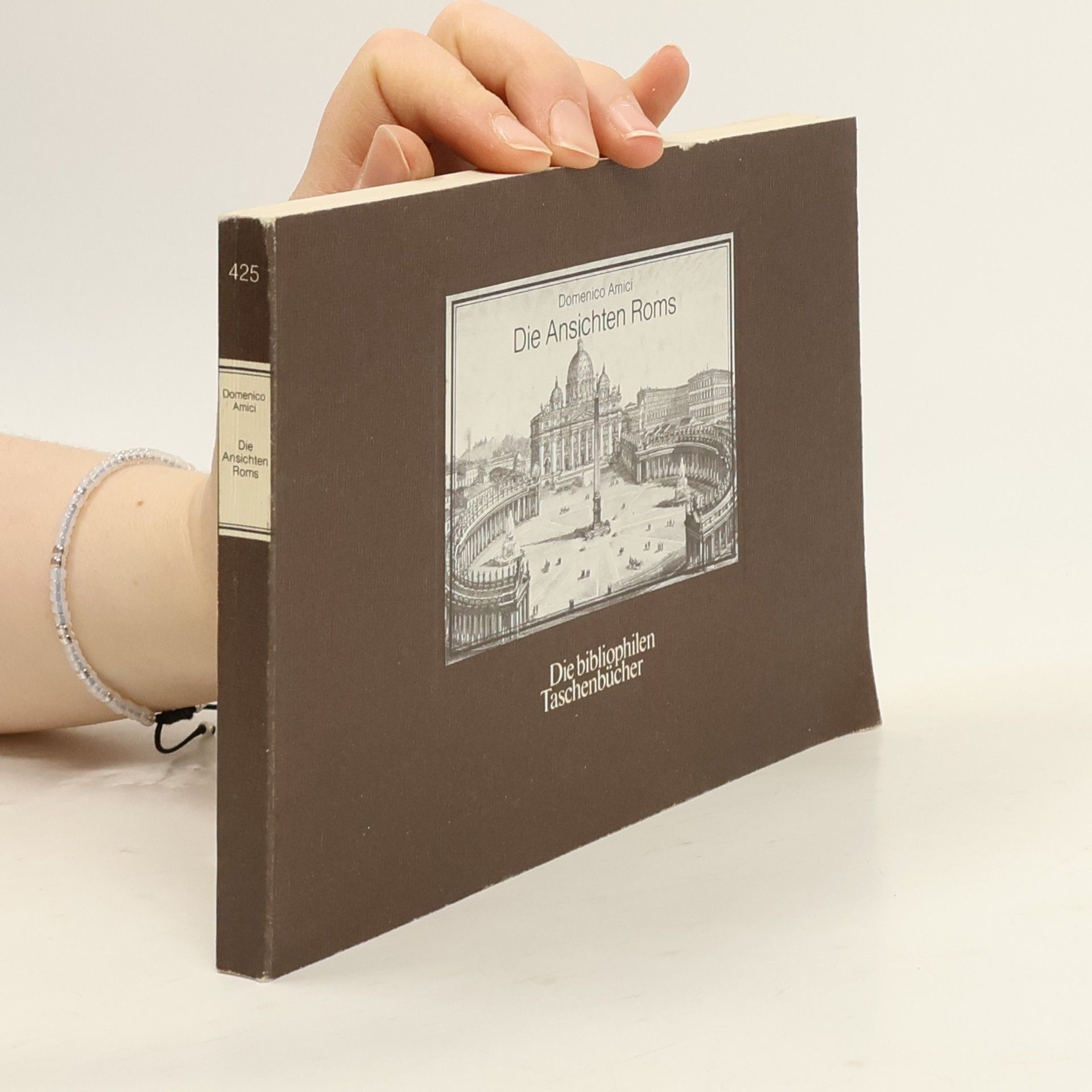 Domenico Amici Die Ansichten Roms