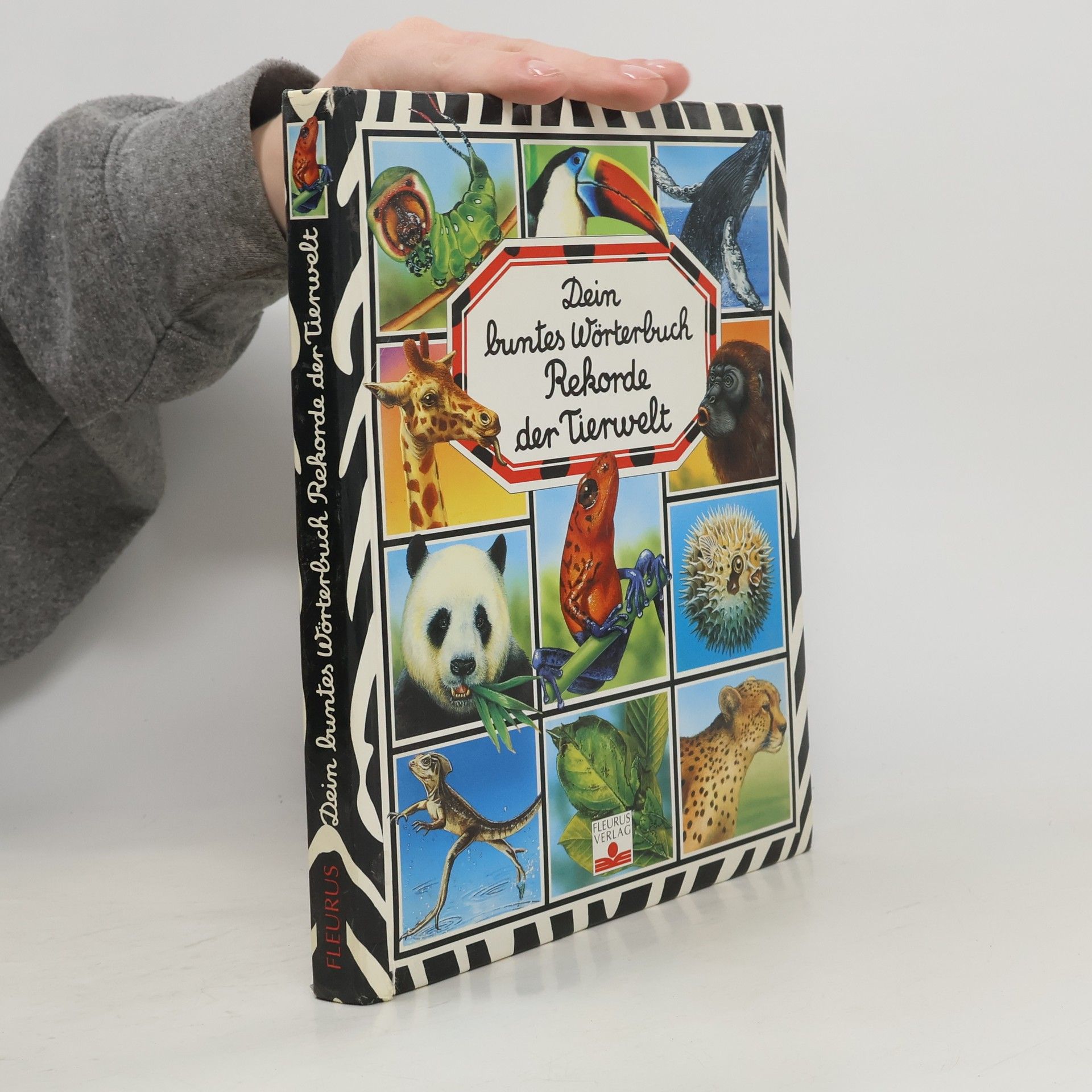 Emilie Beaumont Dein buntes Wörterbuch Rekorde der Tierwelt
