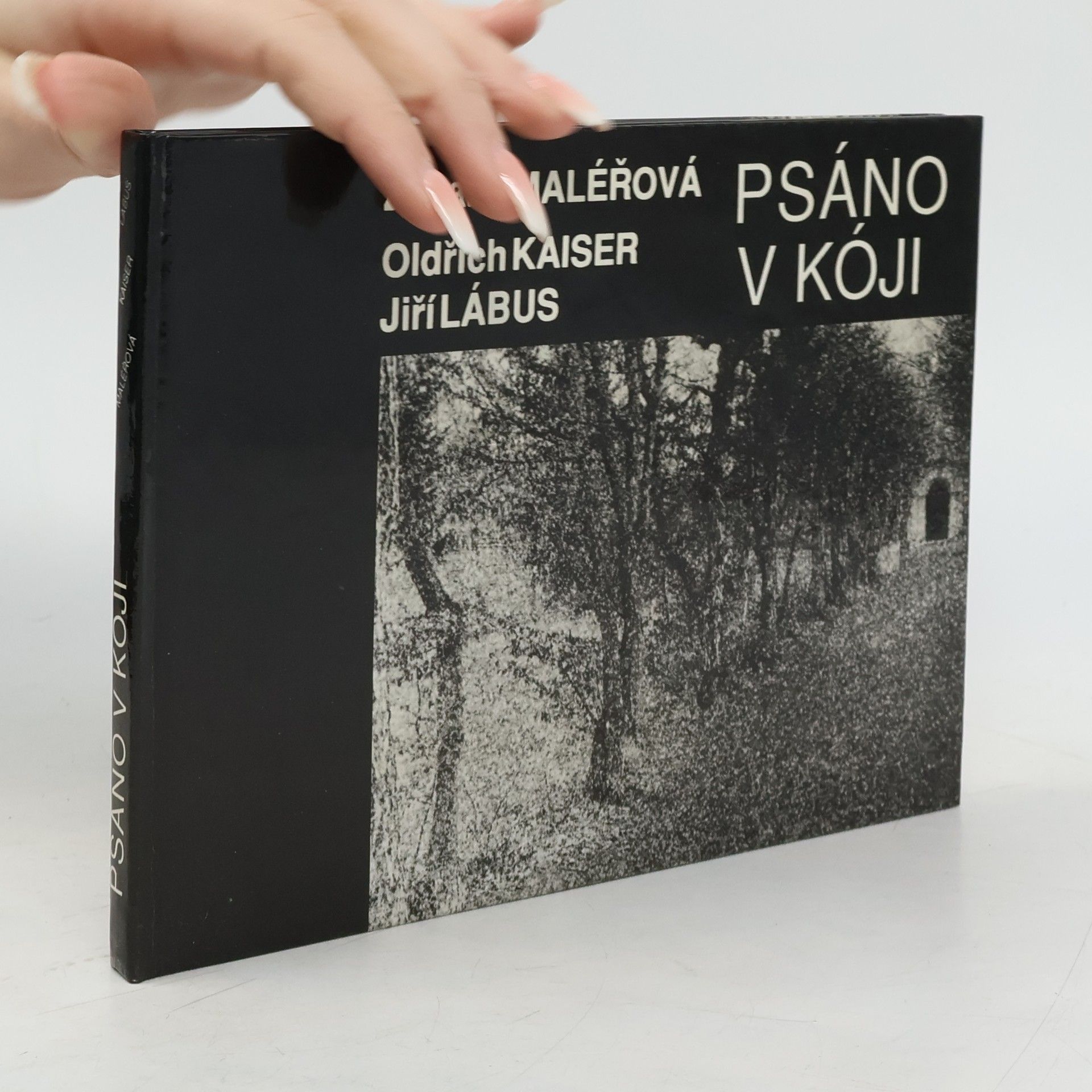 Zuzana Maléřová Psáno v kóji