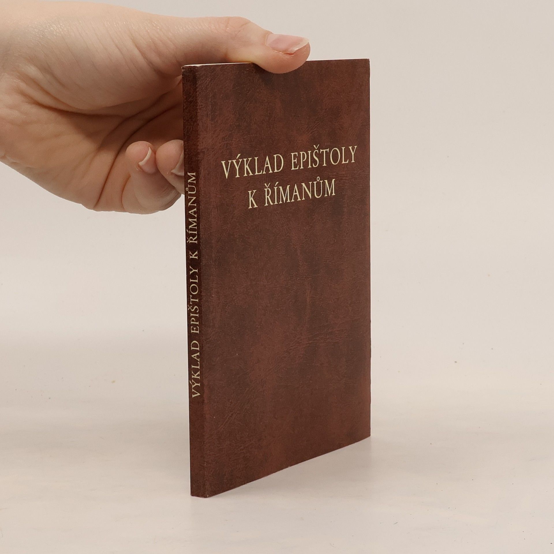 Kolektiv autorů Výklad epištoly k Římanům