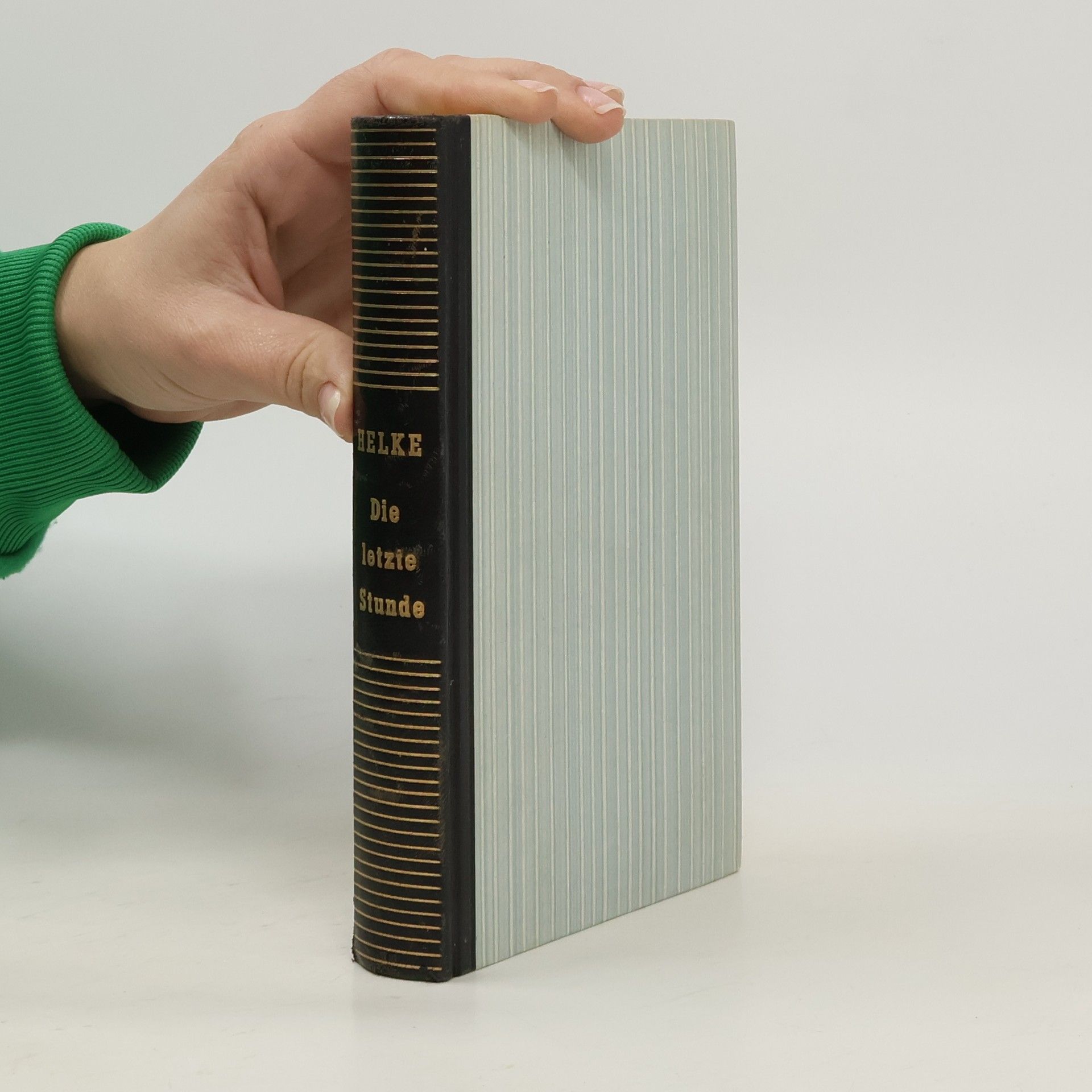 Fritz Helke Die letzte Stunde