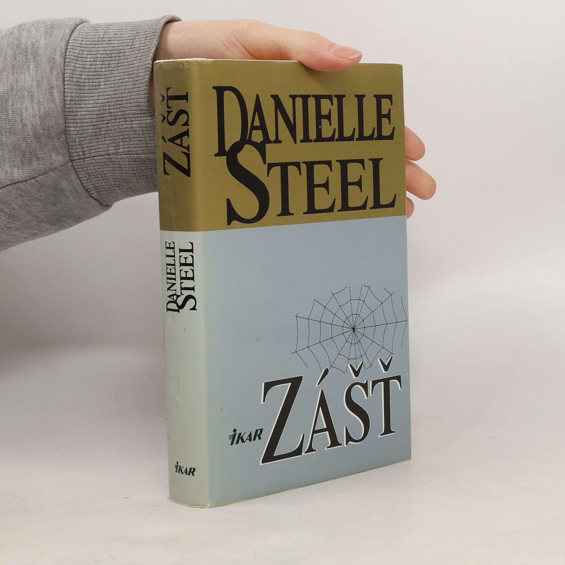 Danielle Steel Zášť