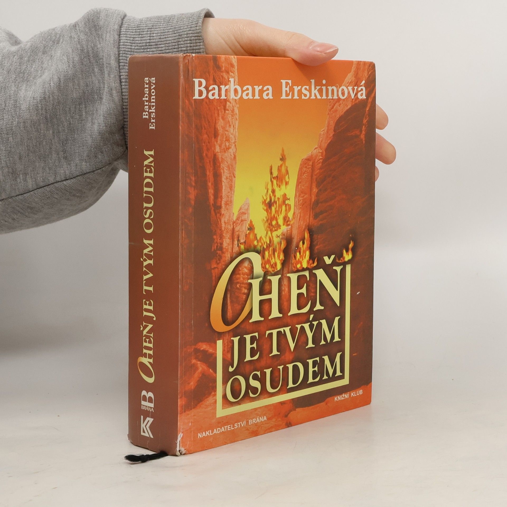 Barbara Erskinová Oheň je tvým osudem