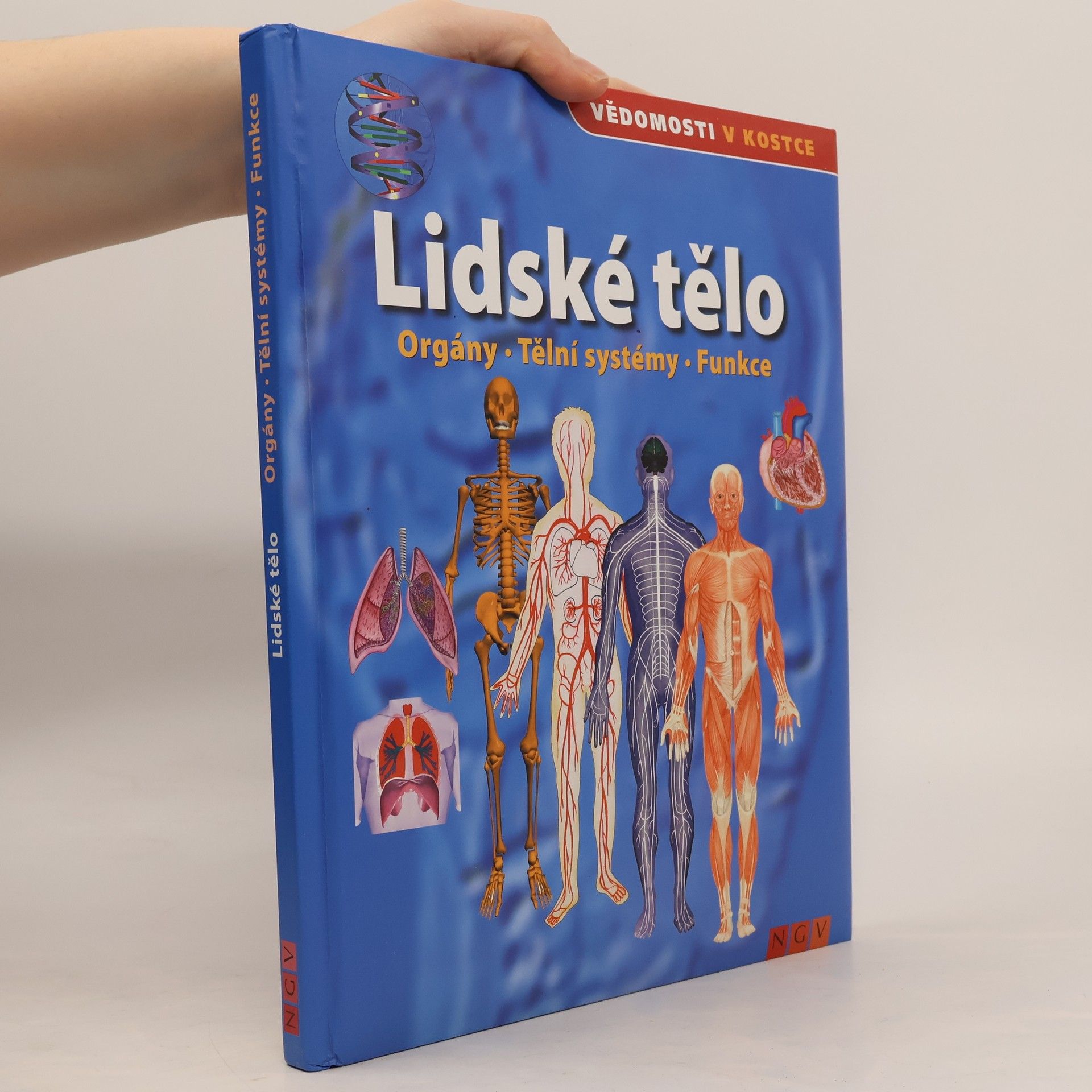 Autorenkollektiv Lidské tělo. Orgány. Tělní systémy. Funkce