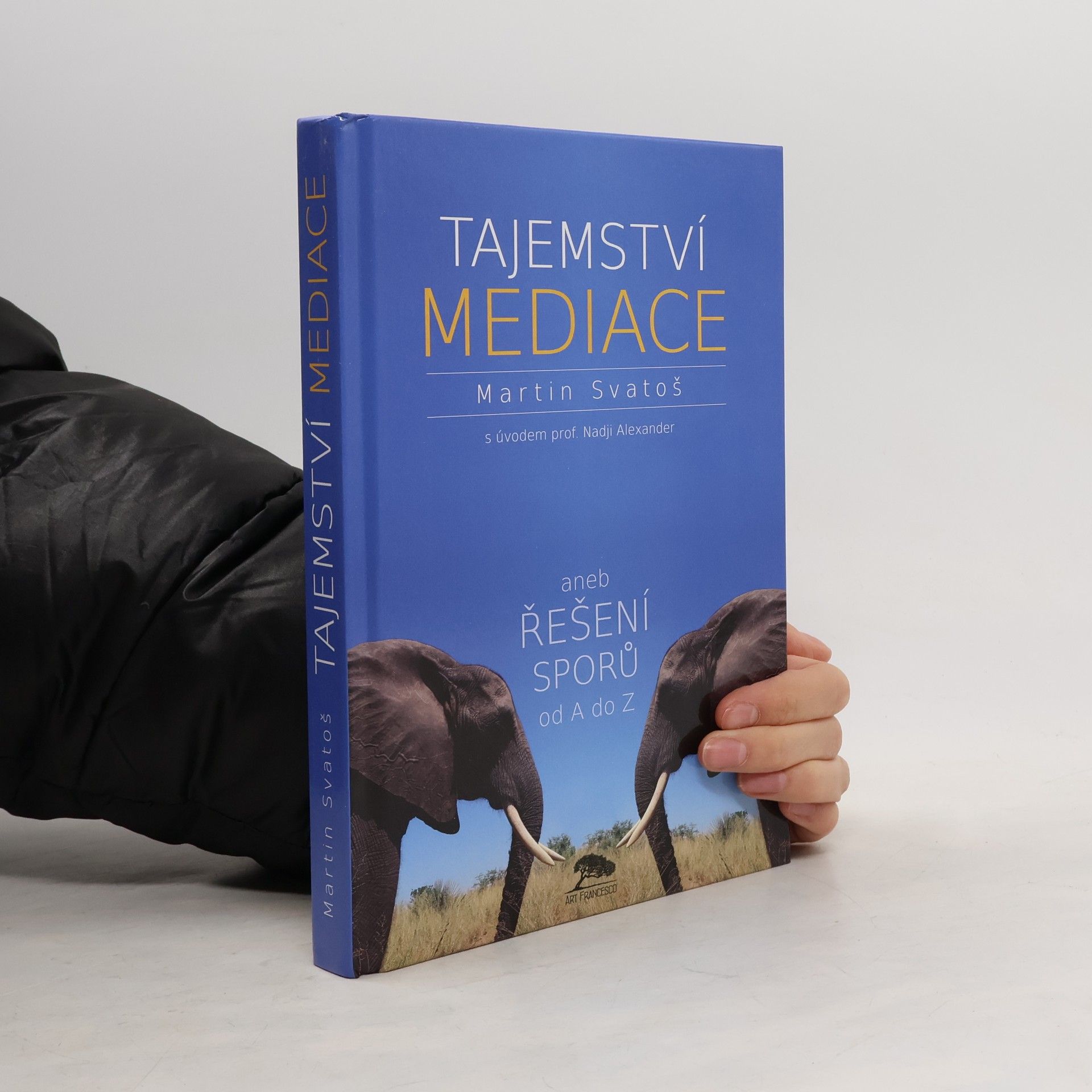 Tajemství mediace, aneb, Řešení sporů od A do Z