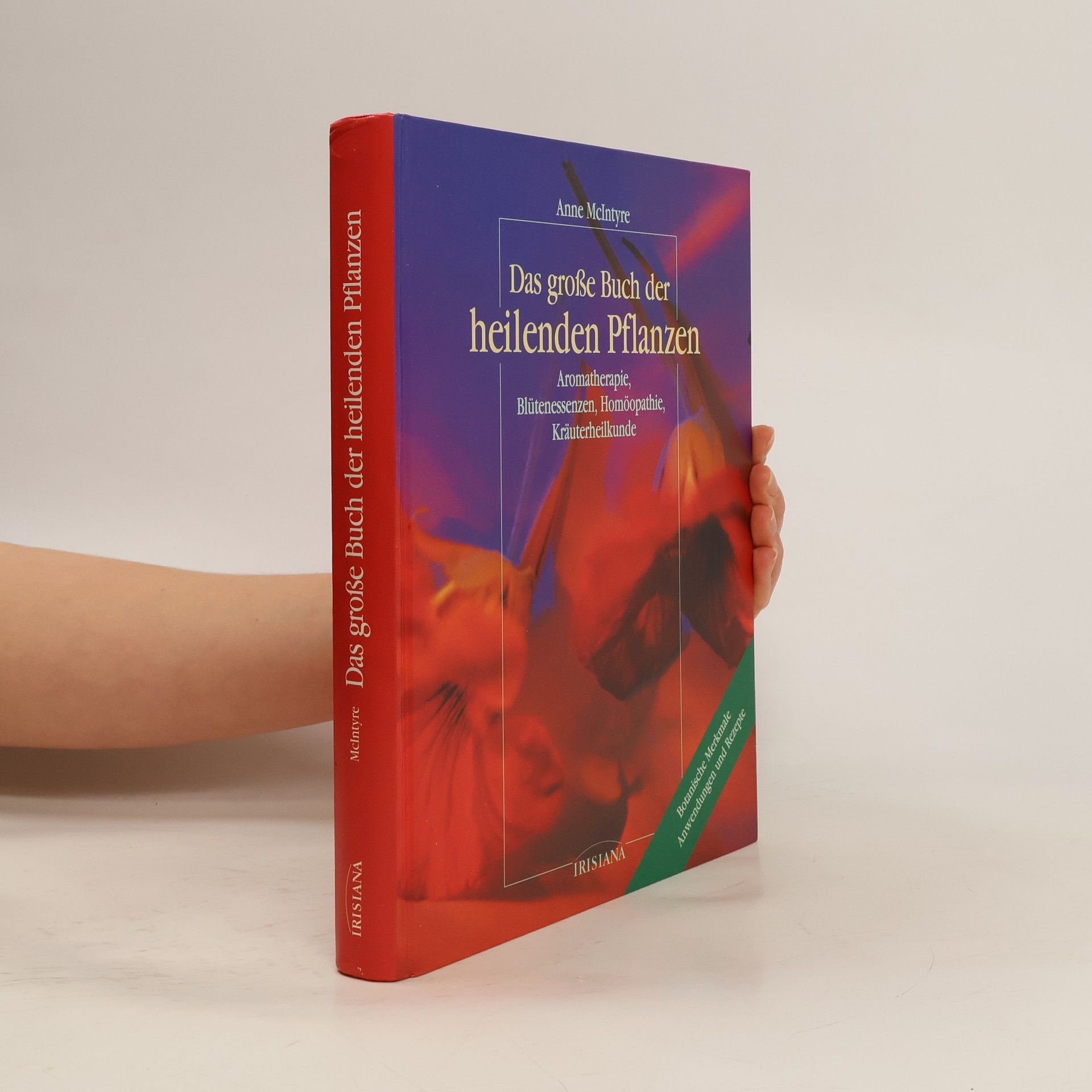 Anne McIntyre Das große Buch der heilenden Pflanzen