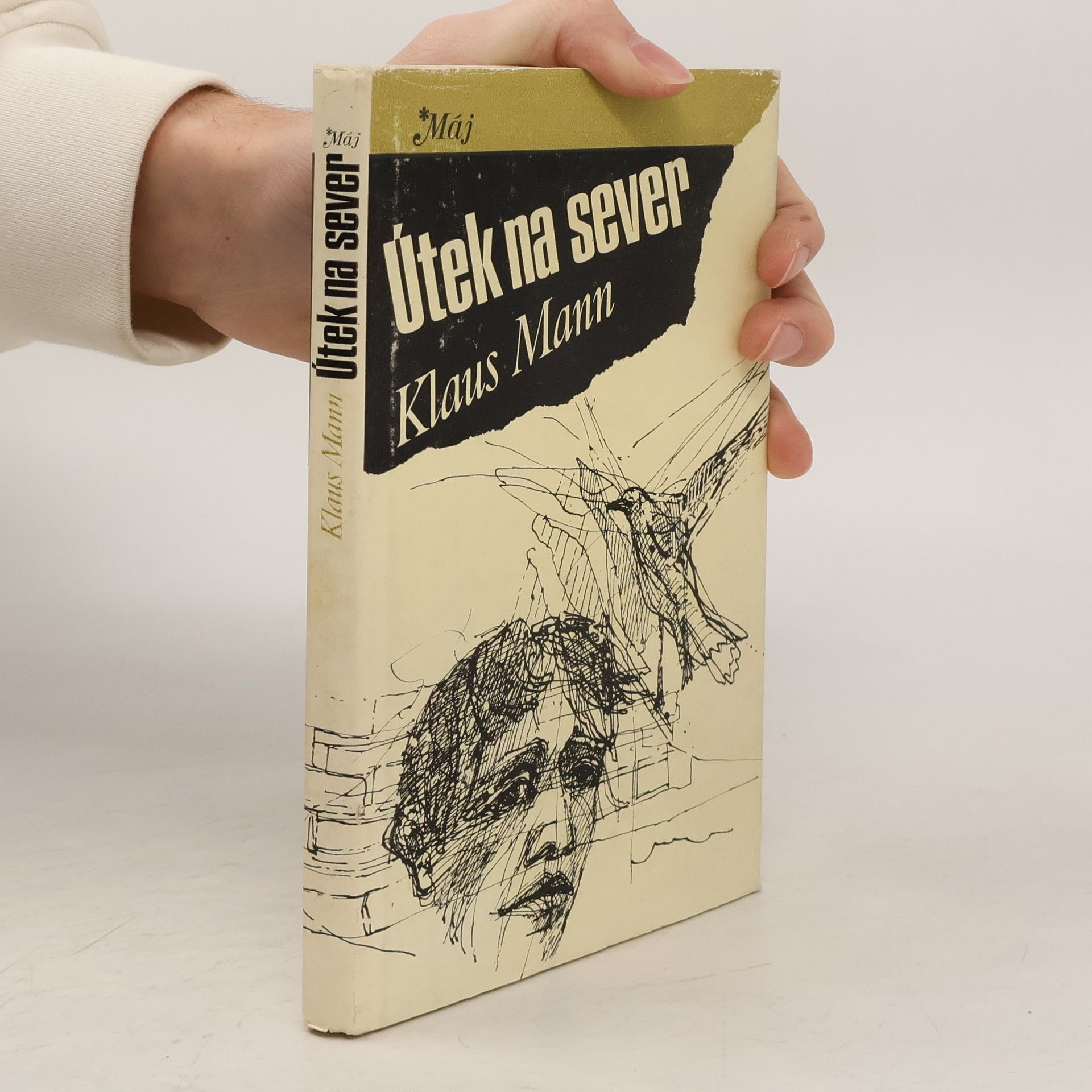 Erika Mann Útek na sever