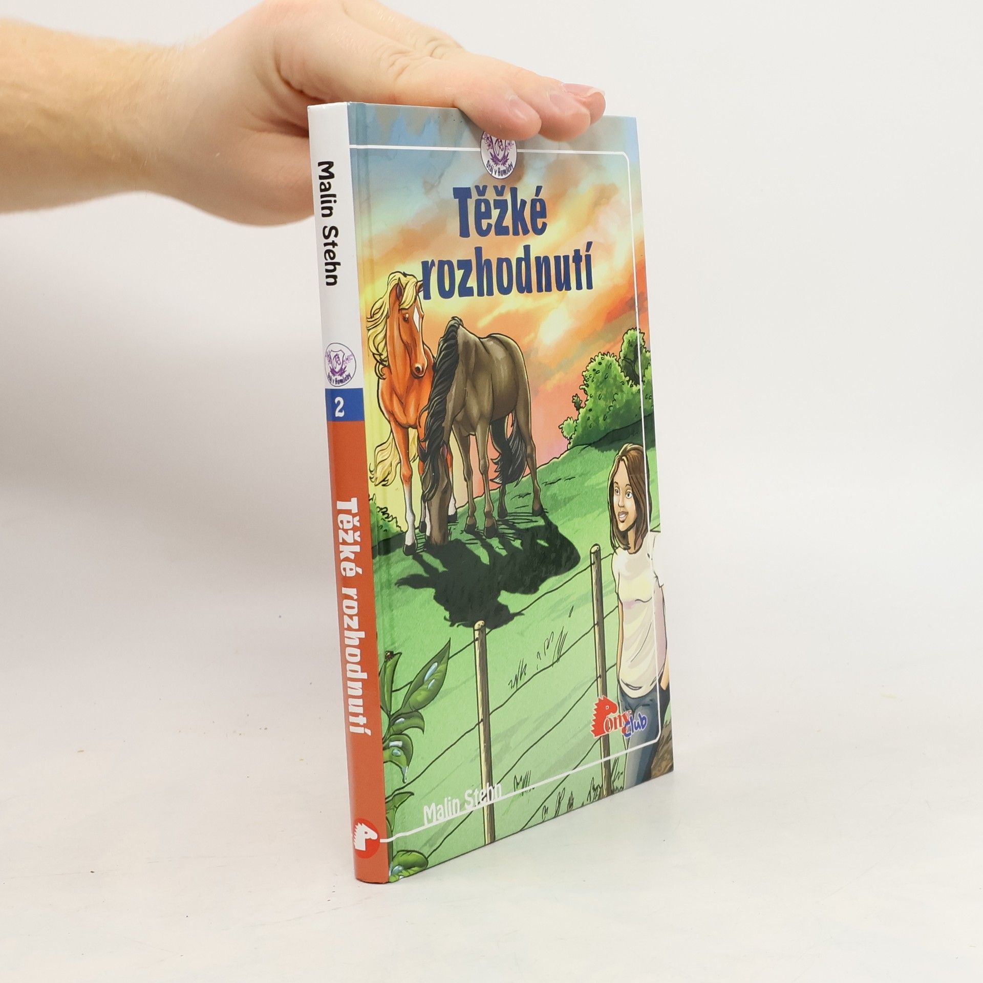 Malin Stehn Těžké rozhodnutí
