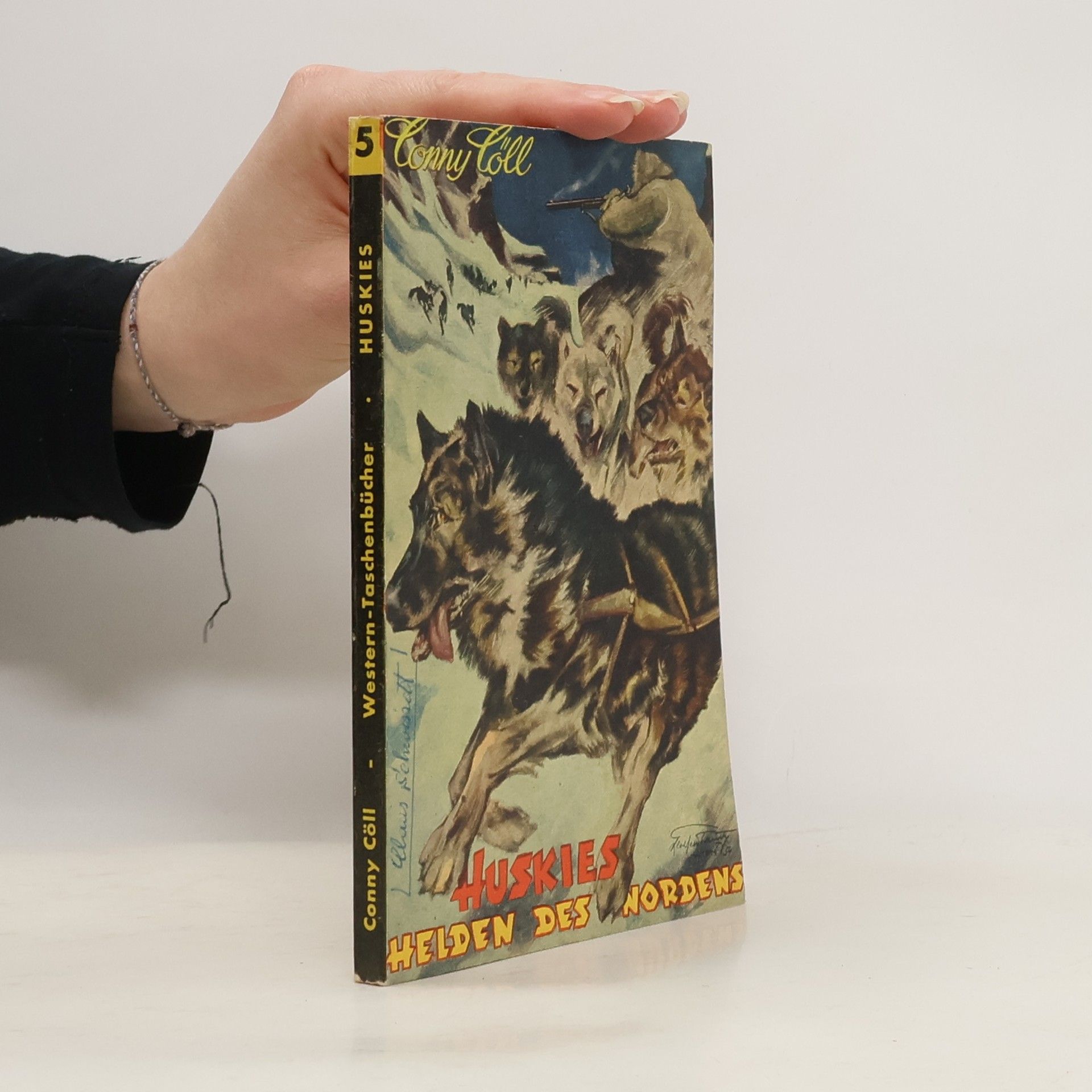 Husky der Held des Nordens