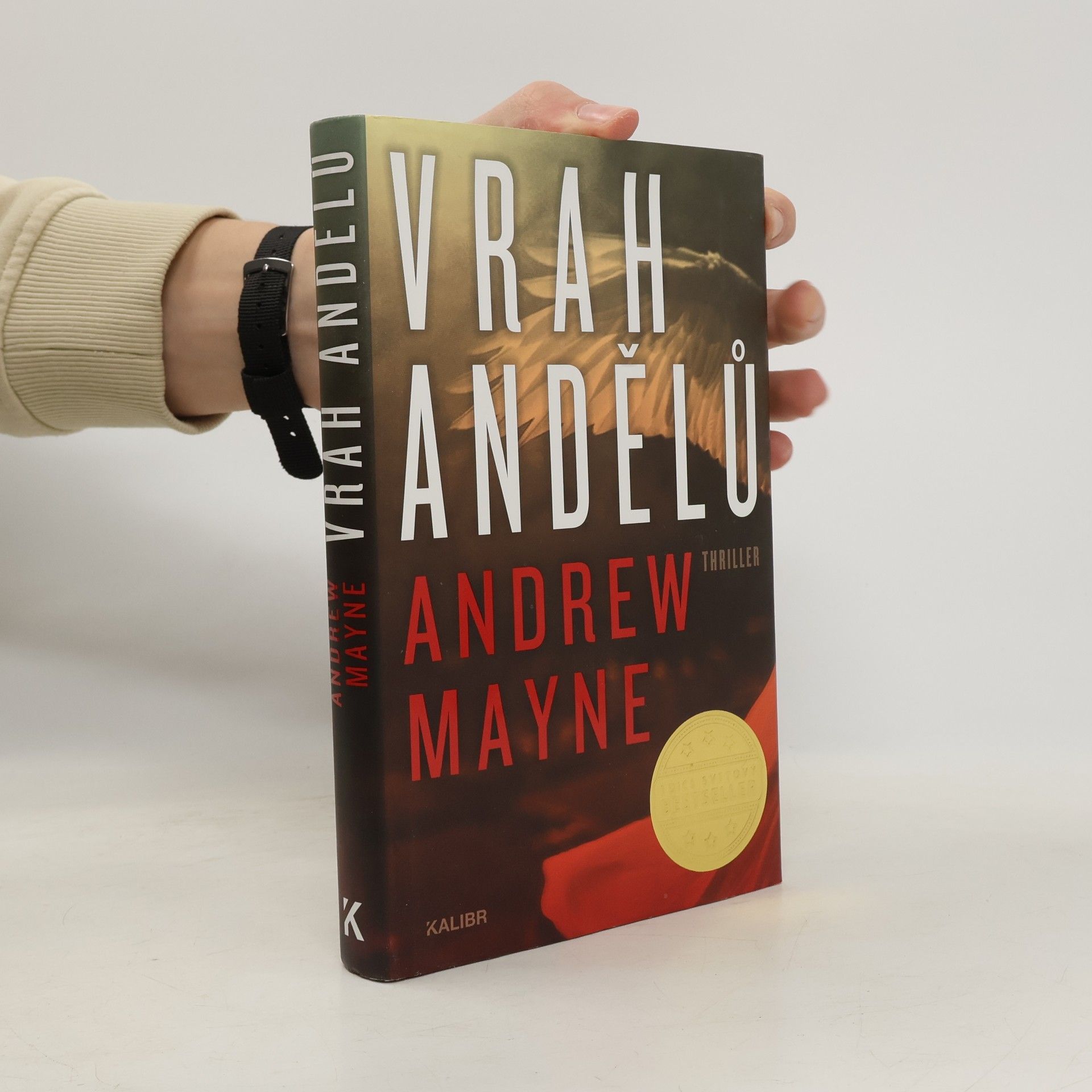 Andrew Mayne Vrah andělů