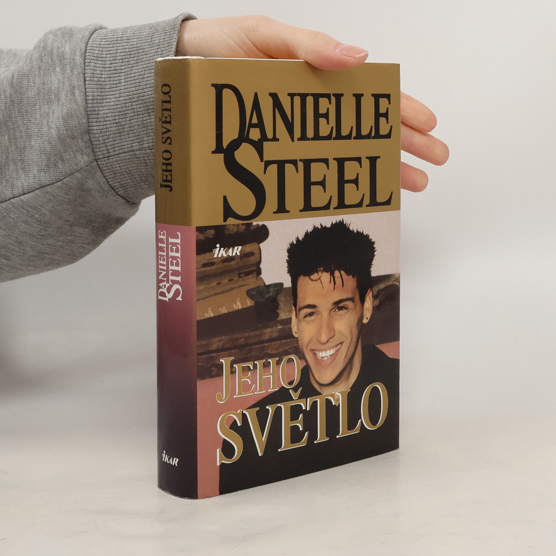Danielle Steel Jeho světlo