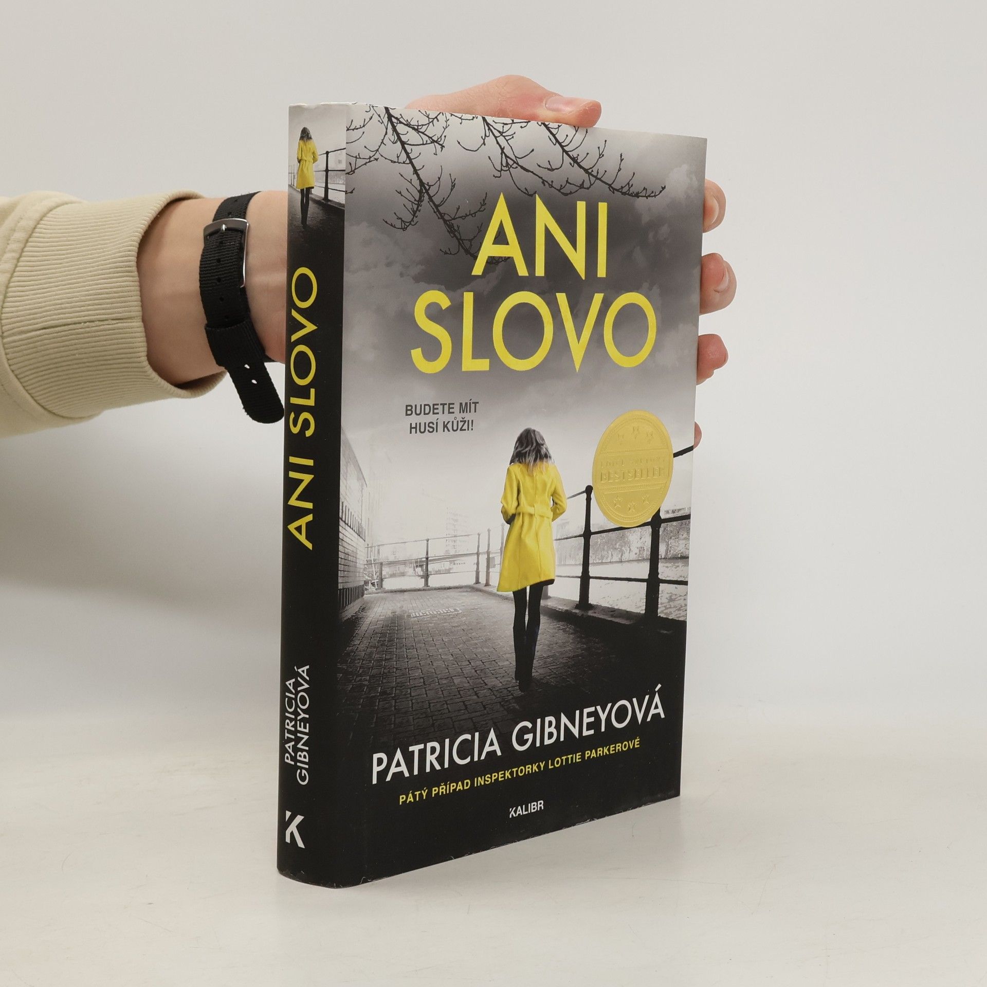 Patricia Gibney Ani slovo