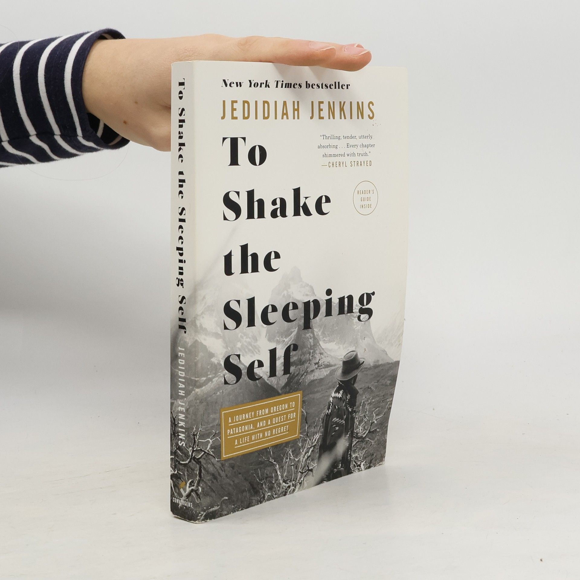 Jedidiah Jenkins To Shake the Sleeping Self