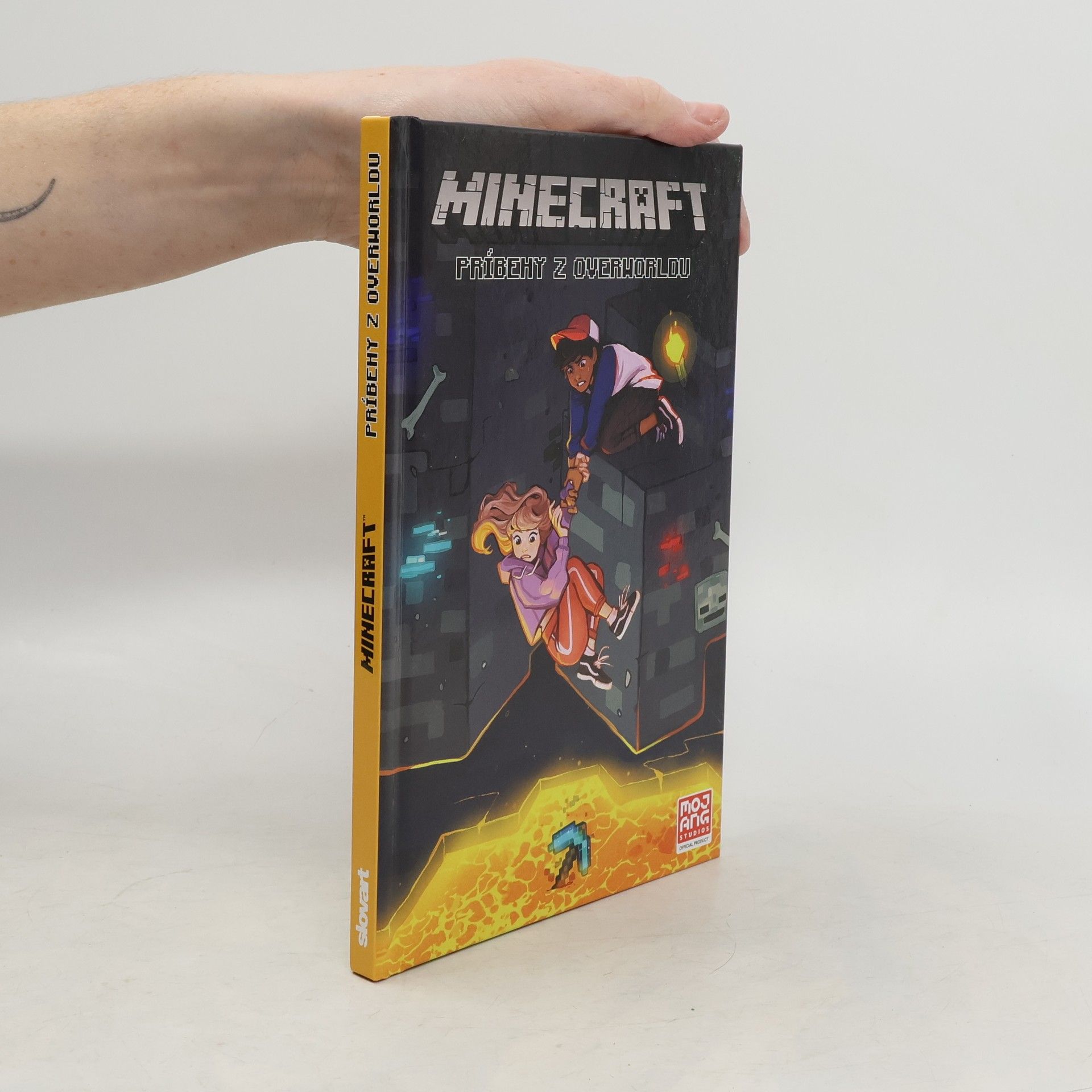 Minecraft: Príbehy z Overworldu