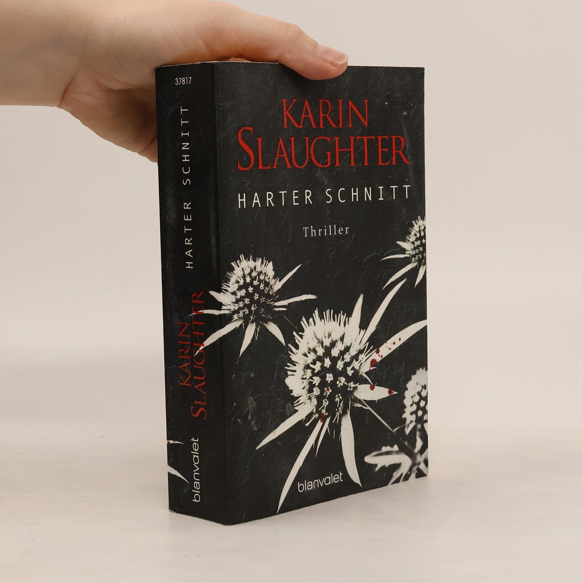 Karin Slaughter Harter Schnitt