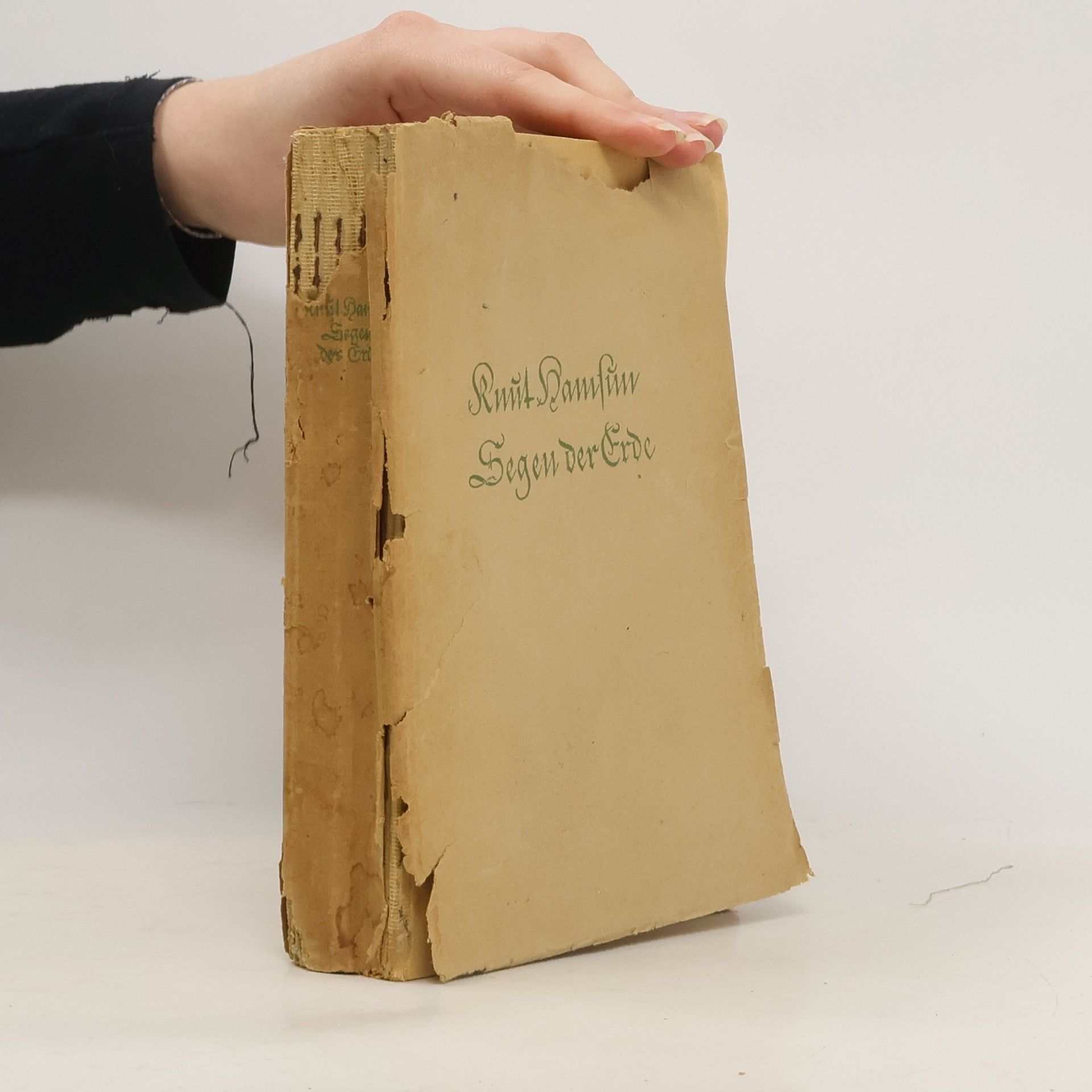 Knut Hamsun Segen der Erde