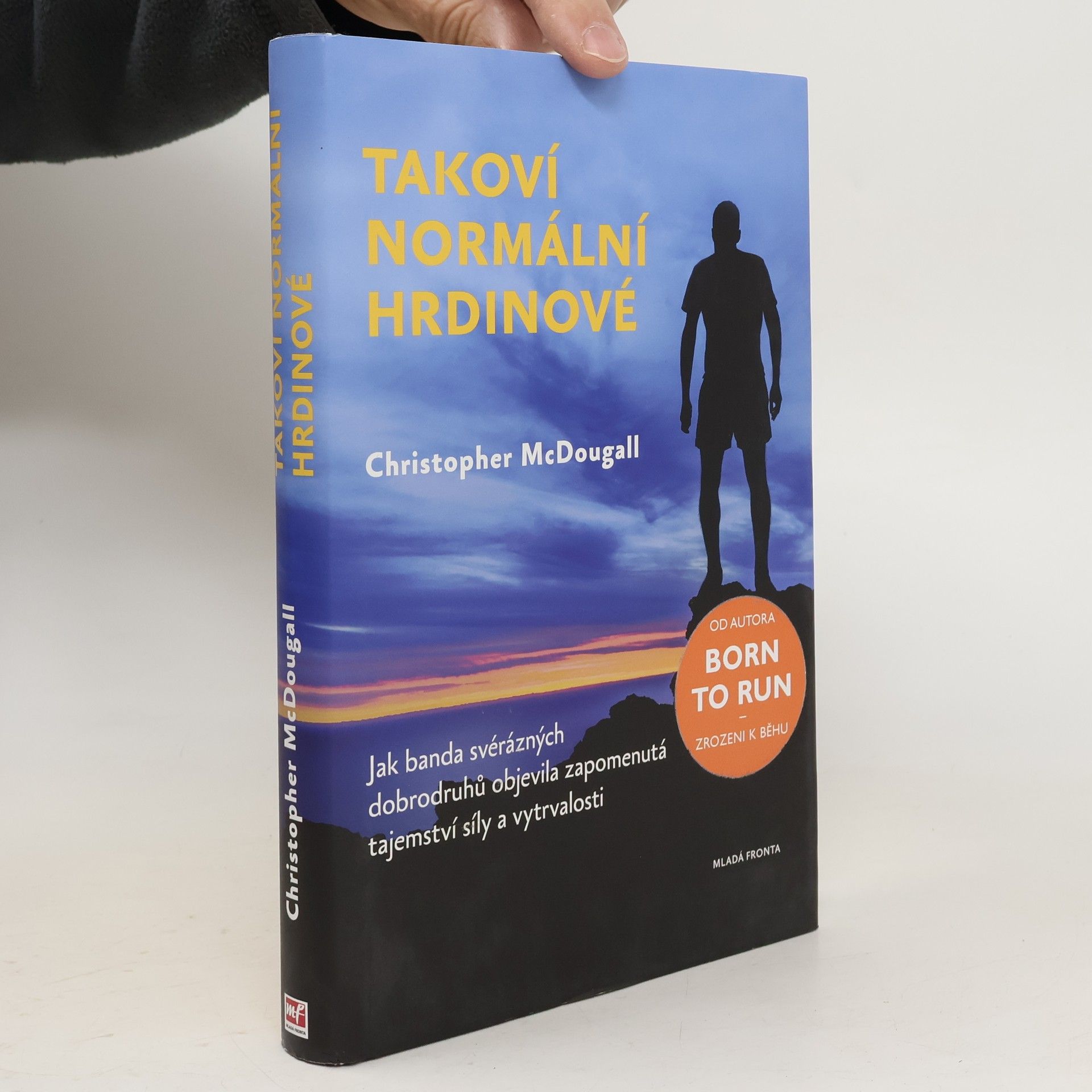 Takoví normální hrdinové