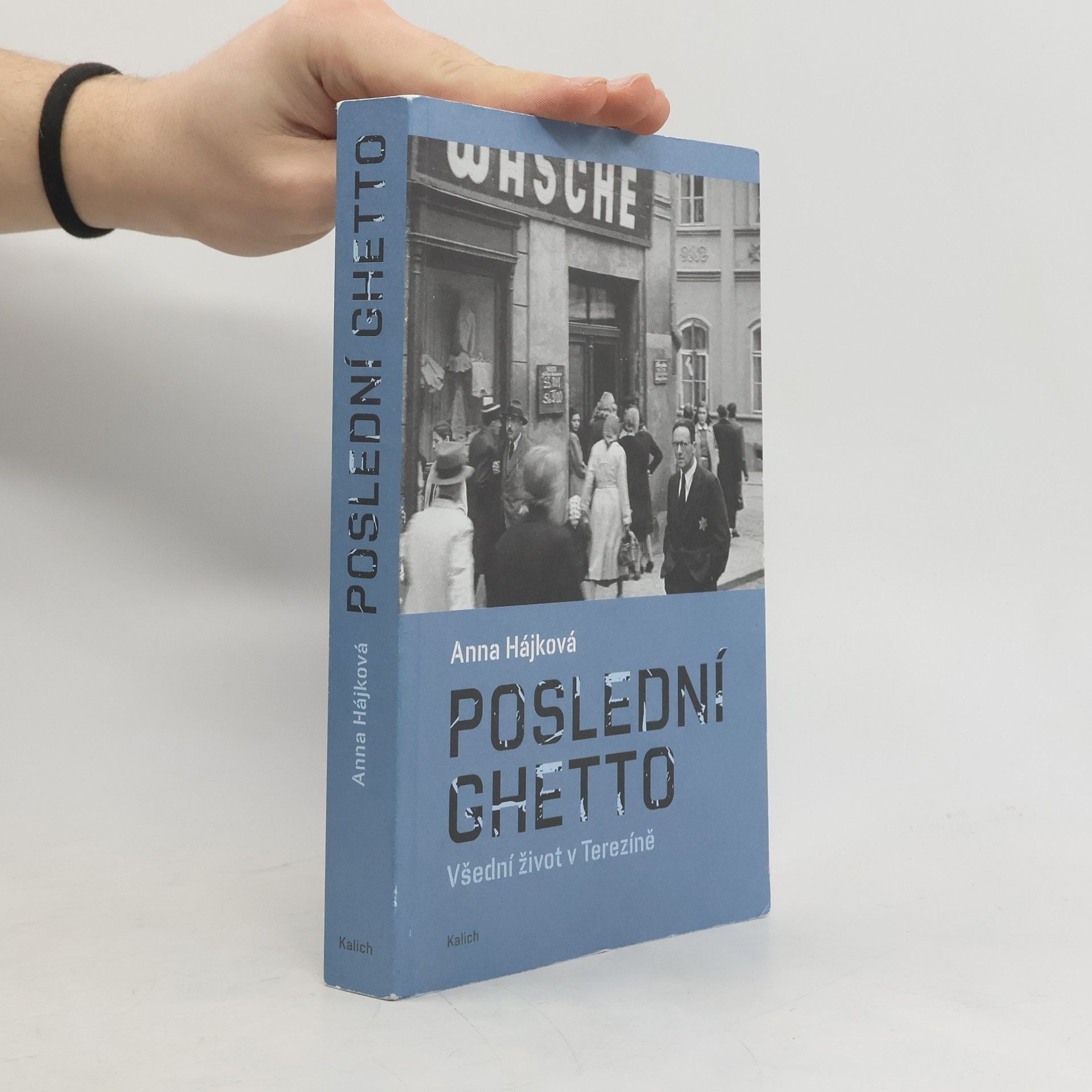 Anna Hájková Poslední ghetto. Všední život v Terezíně.