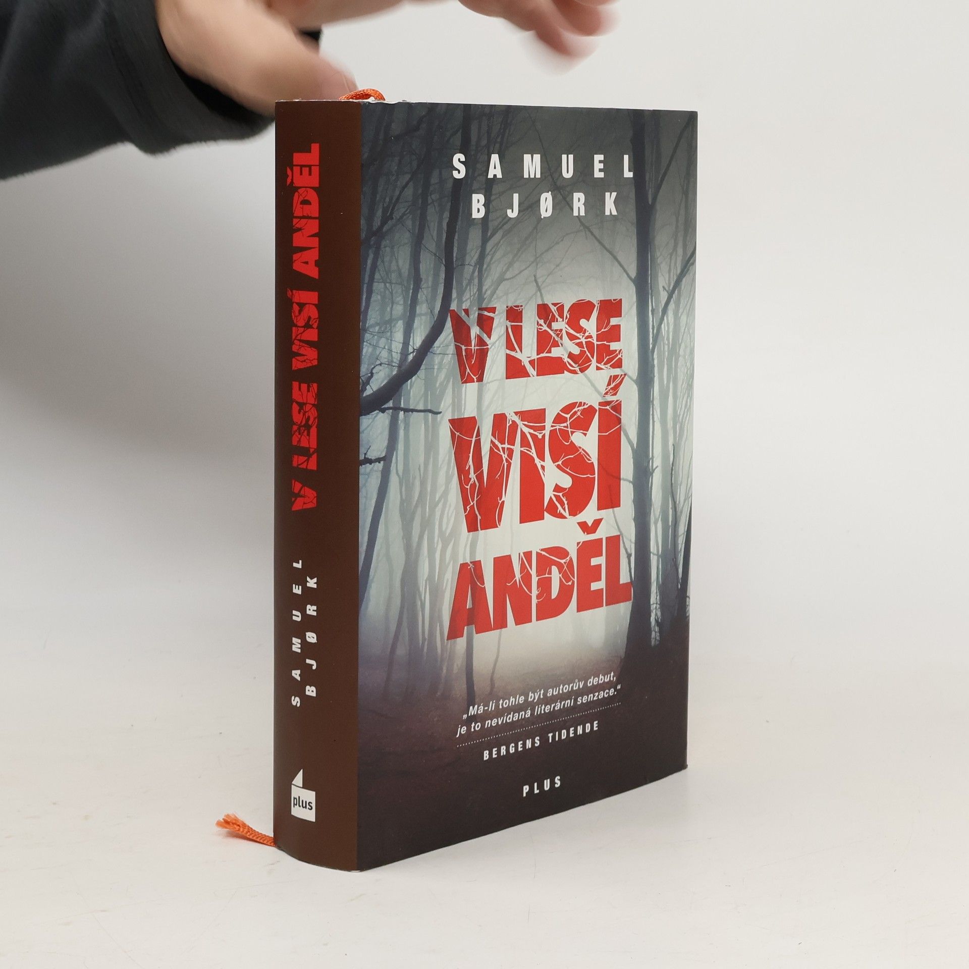 Samuel Bjork V lese visí anděl