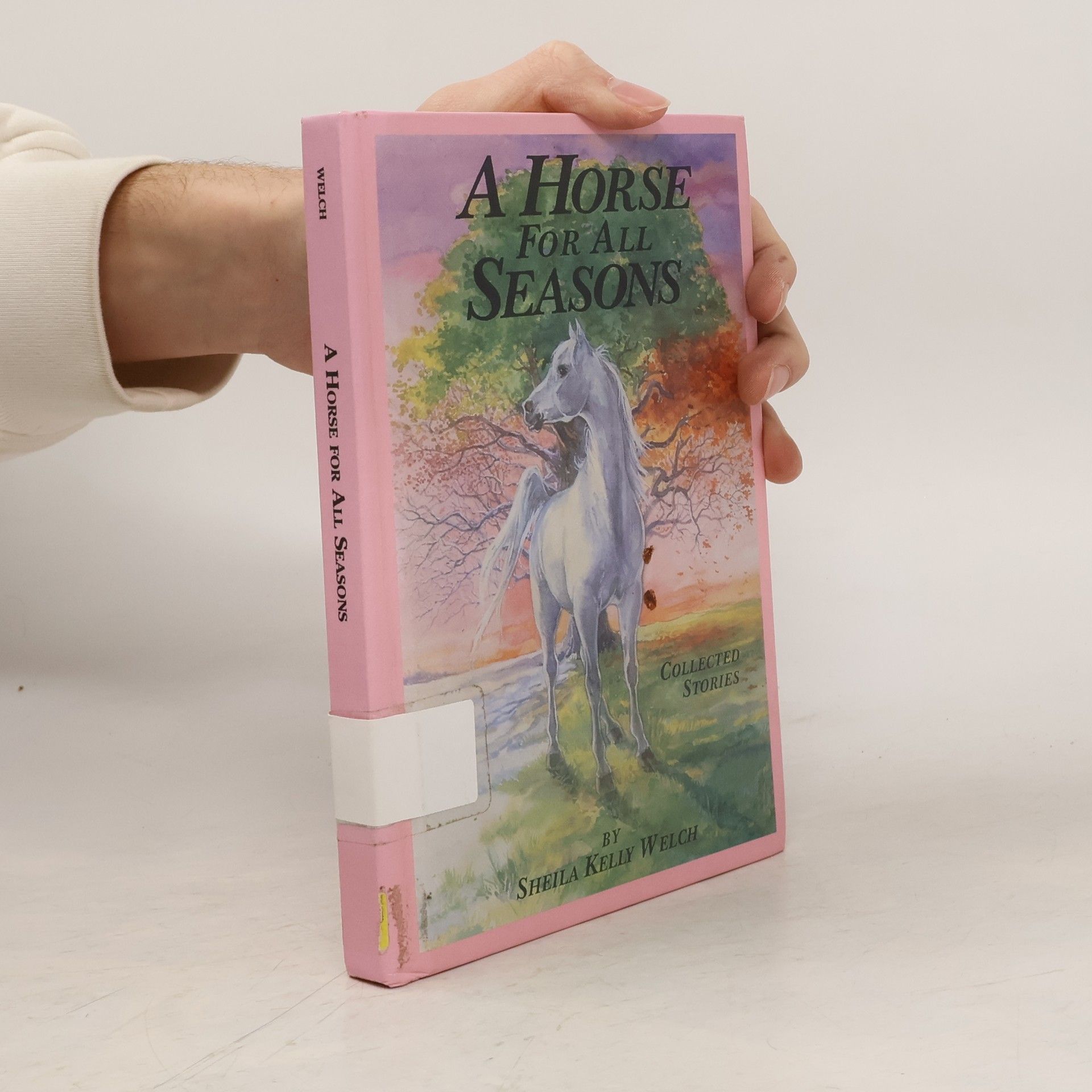 Sheila Kelly Welch A Horse for all Seasons