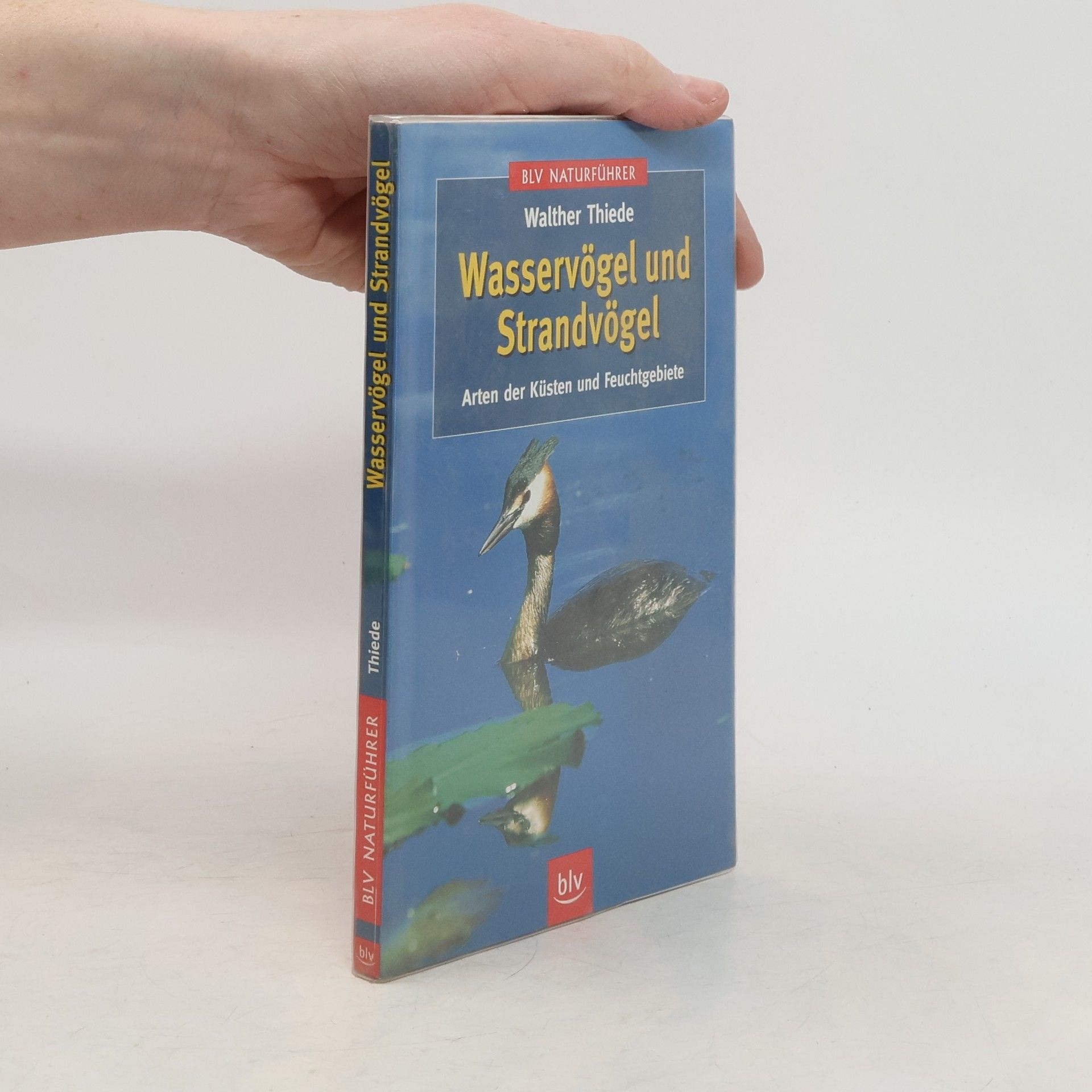 Walther Thiede Wasservögel und Strandvögel