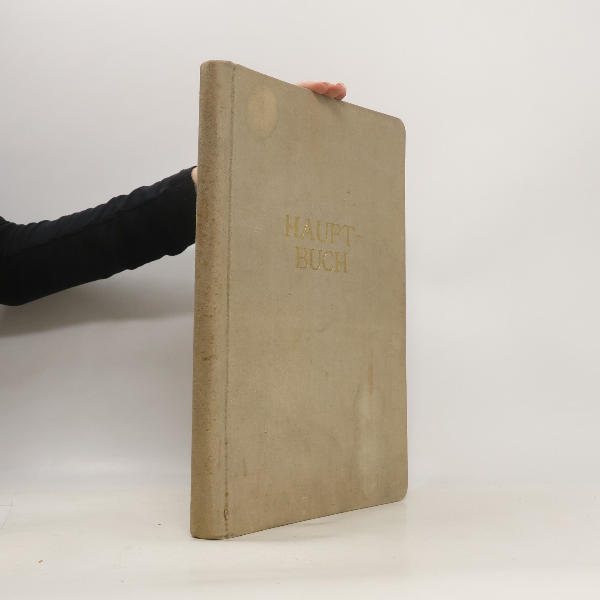 Collectif d'auteurs Hauptbuch